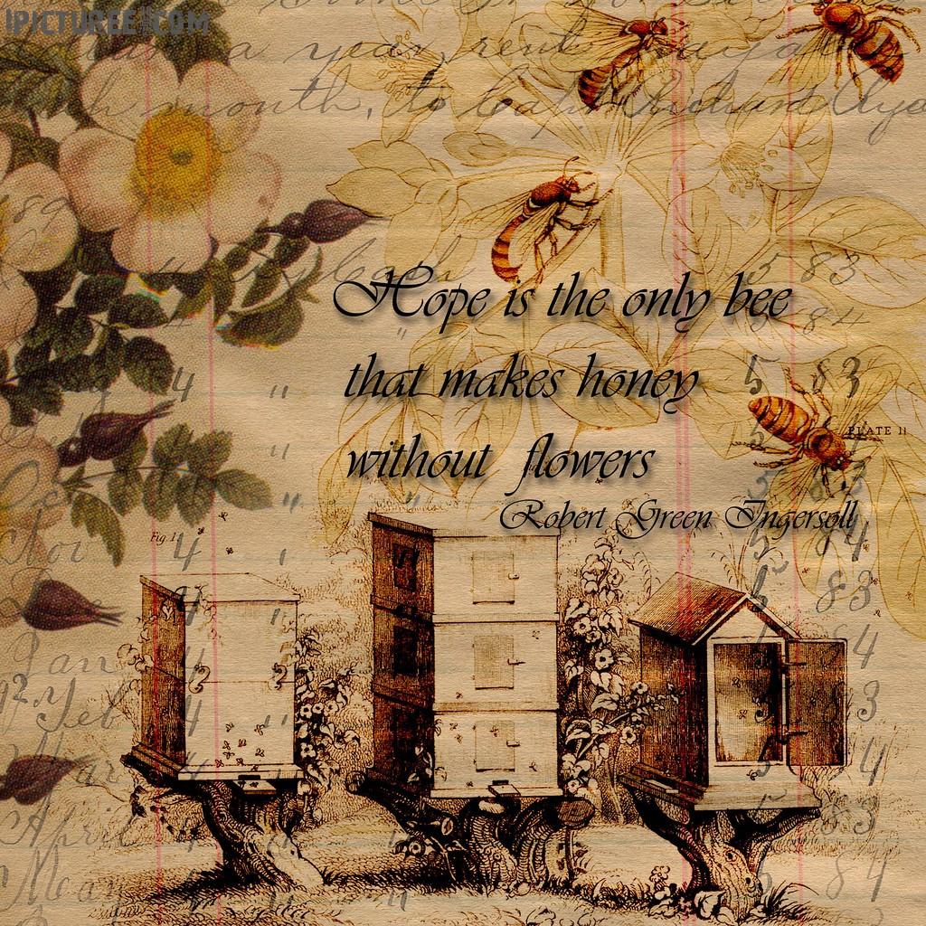 Vintage Bee Wallpapers - Top Free Vintage Bee Backgrounds - WallpaperAccess