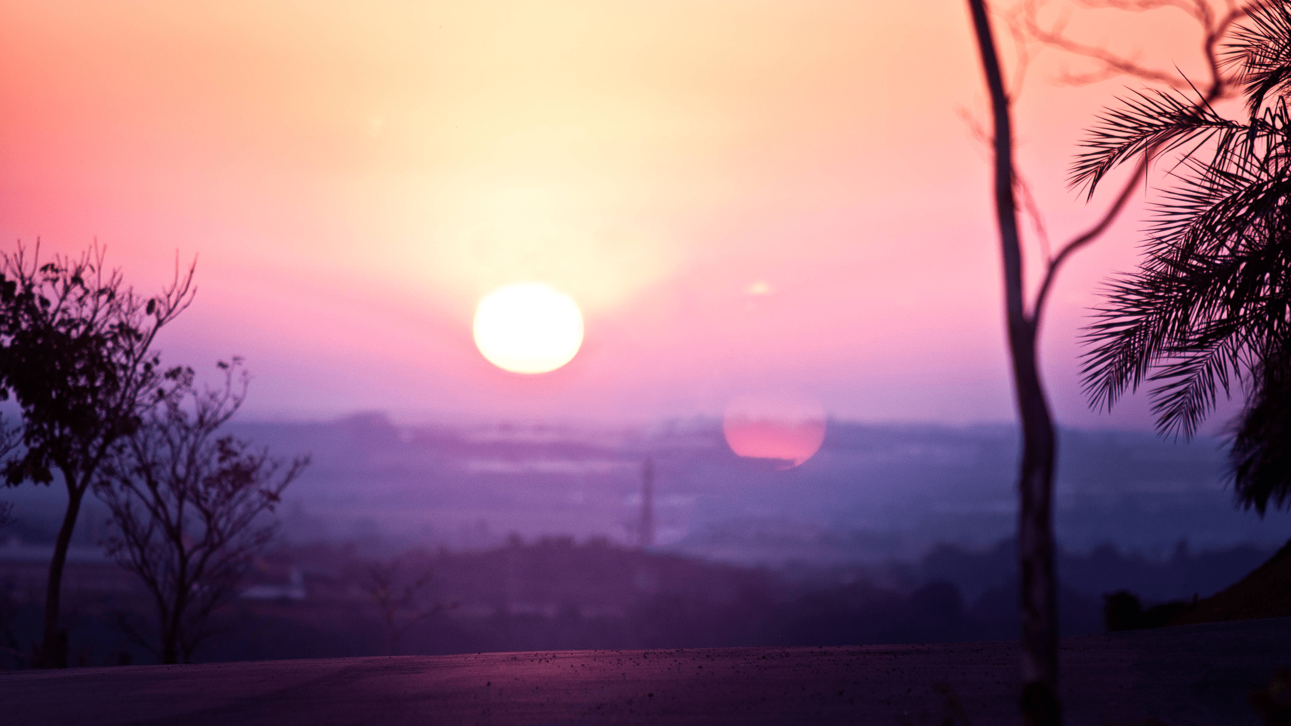 2560x1440 #asphalt, #sunset, #purple, #landscape, #trees, #sunlight, wallpaper. Mocah.org HD Desktop Wallpaper