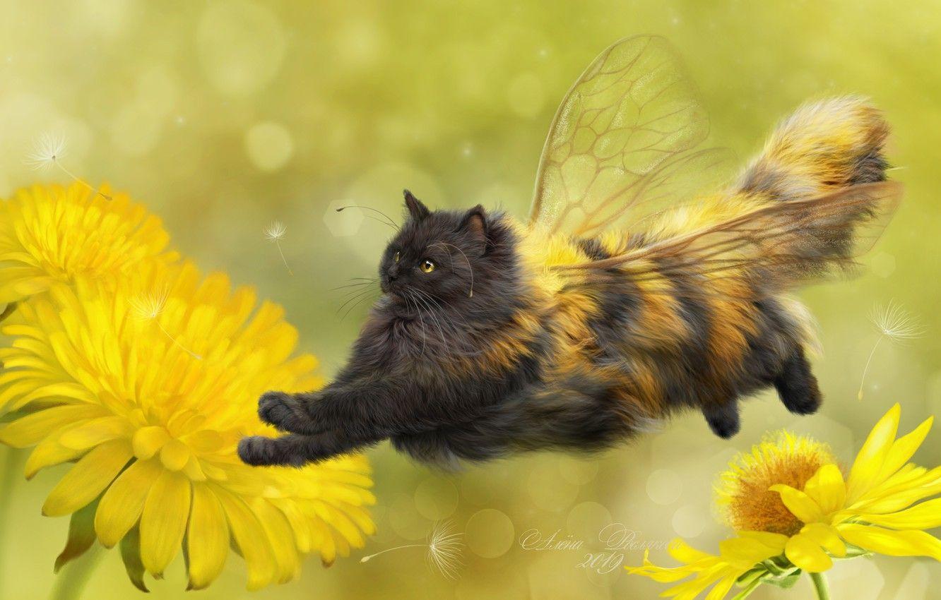 1332x850 Wallpaper Cat, Flowers, Background, Art, Dandelions, Wings, Fluffy, Cat Bee Image For Desktop, Section настроения