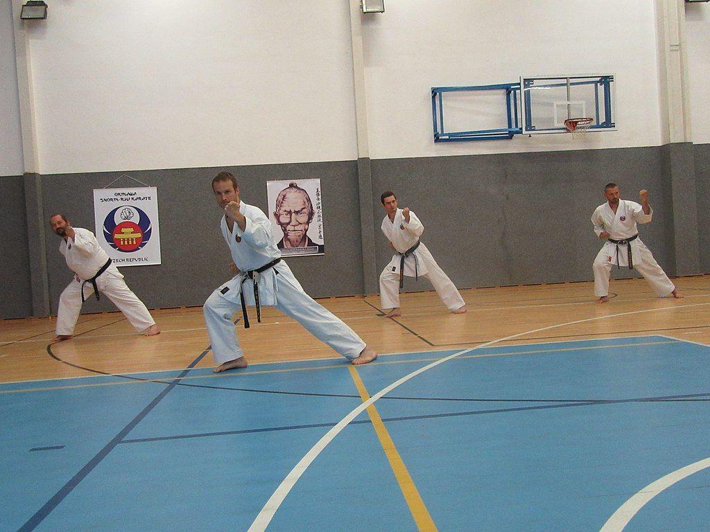 1024x768 Letní soutředění Okinawa Karate a Kobudo ČFOKK 2017