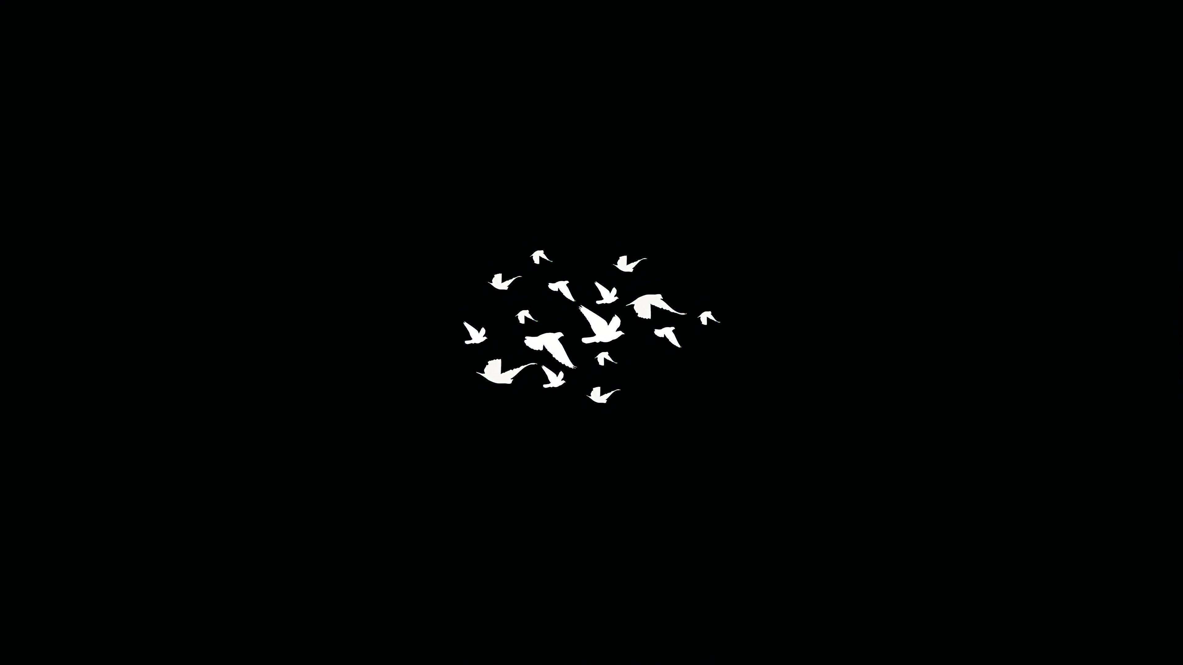 3840x2160 Minimalist Black Wallpaper
