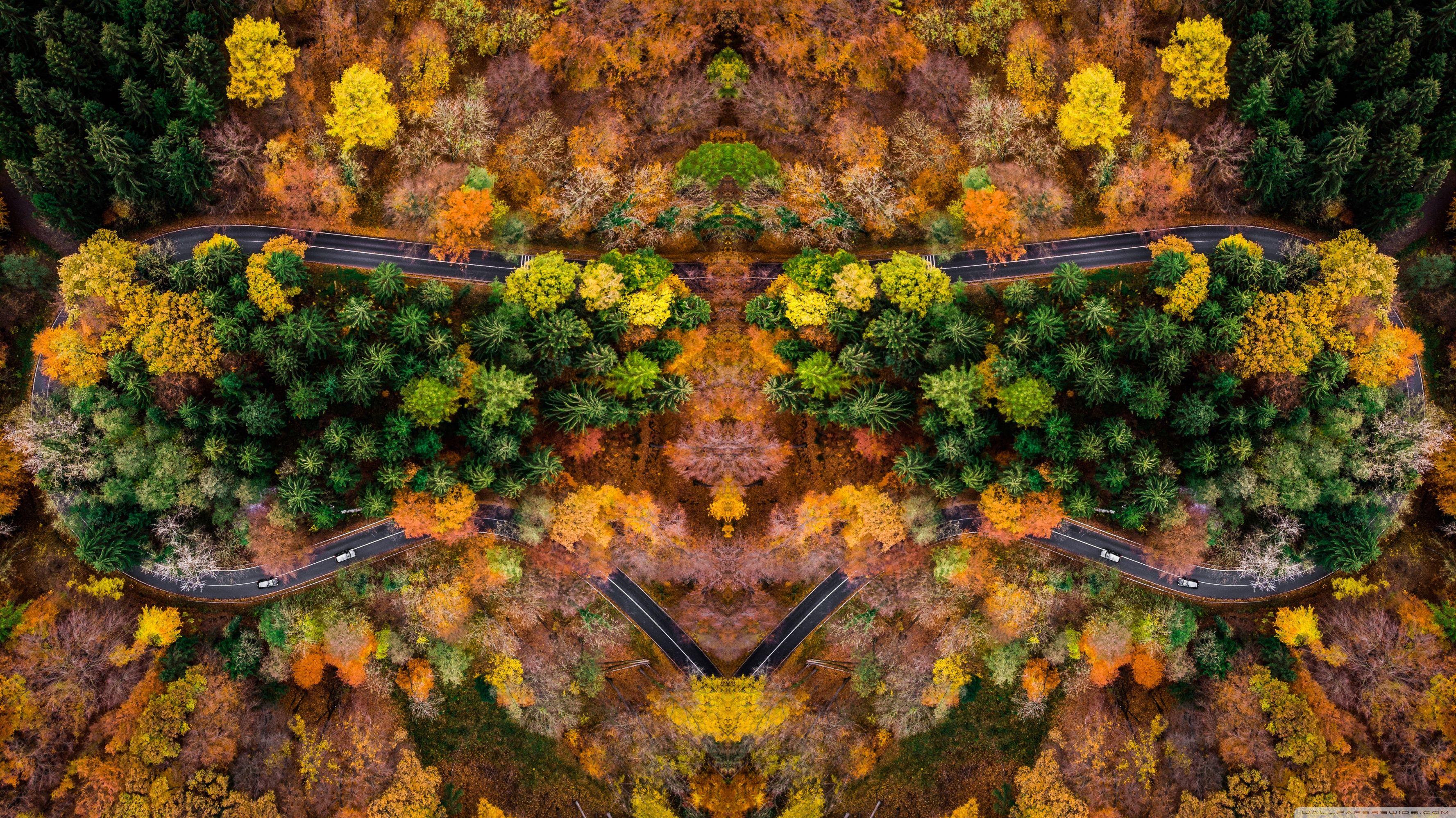 3554x1999 Autumn Symetric Drone Shot Ultra HD Desktop Background Wallpaper for : Widescreen & UltraWide Desktop & Laptop : Multi Display, Dual Monitor : Tablet