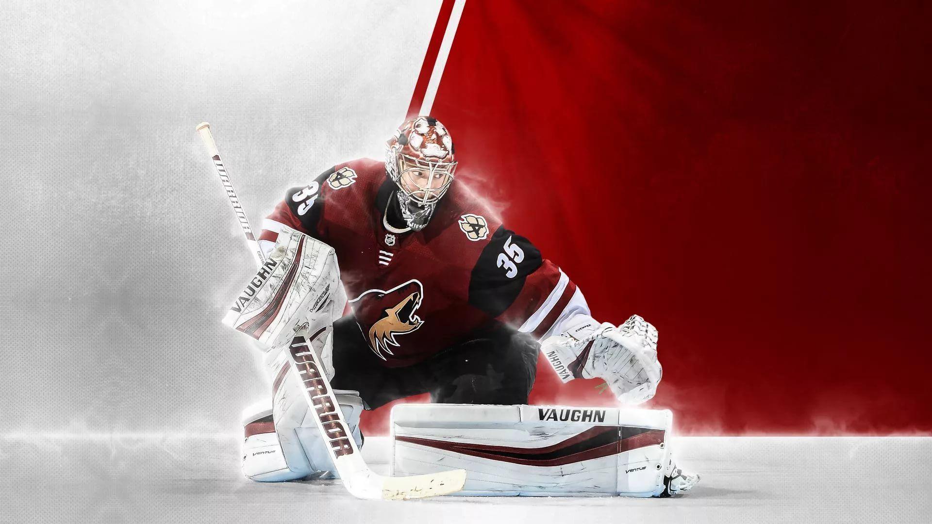 Hockey Goalie Wallpapers - Top Free Hockey Goalie Backgrounds 