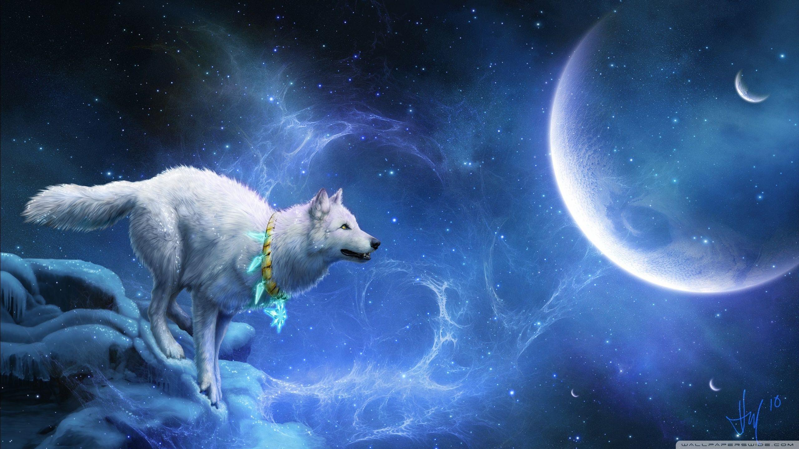 2560x1440 Magic White Wolf ❤ Hình nền máy tính để bàn 4K HD cho TV Ultra HD 4K https://wallpaperaccess.com/full/387923.jpg