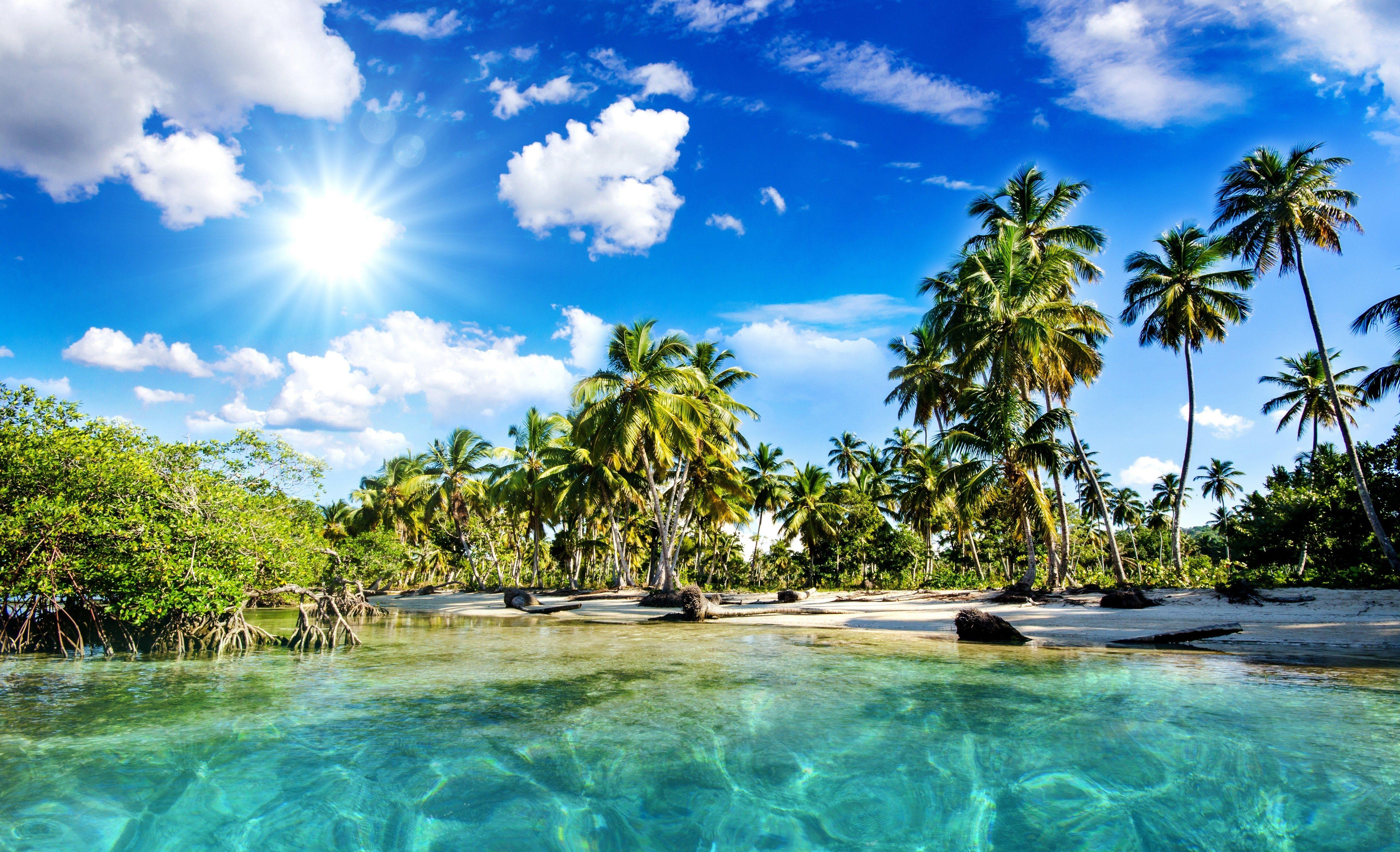 5700x3467 Sea tropical palm trees beach nature wallpaperx3467