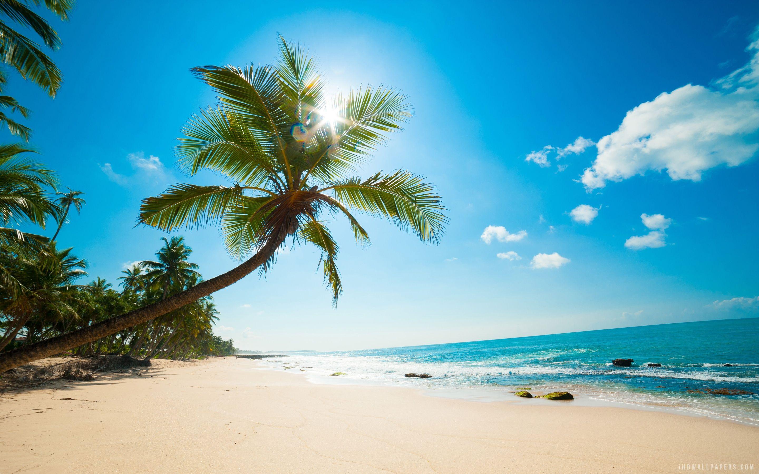 2880x1800 Caribbean Beach wallpaper. nature and landscape