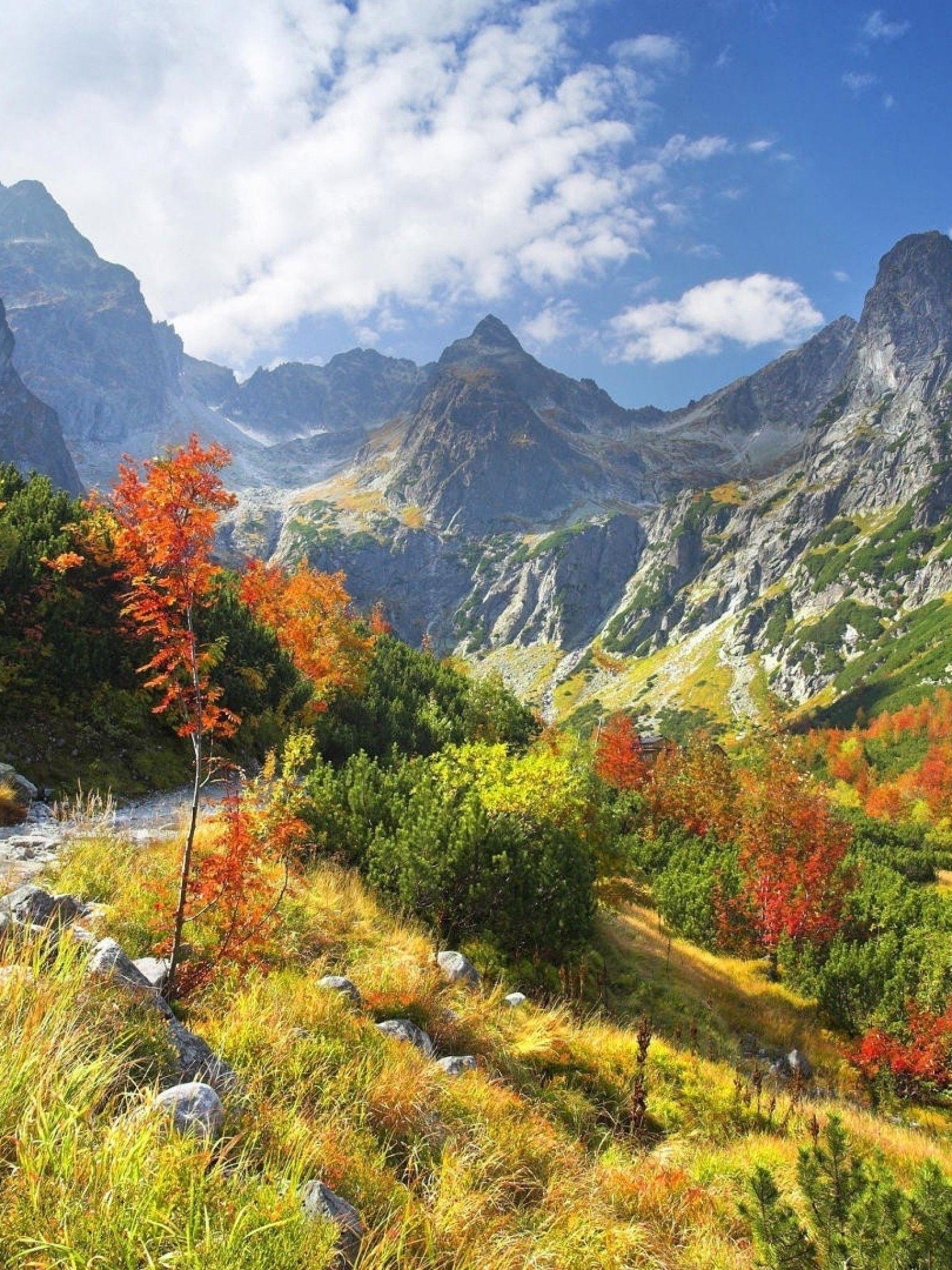 1536x2048 Download 1536x2048 Slovakia, Tatra, Green, Field, Path, Autumn Wallpaper for Apple iPad Mini, Apple IPad 4