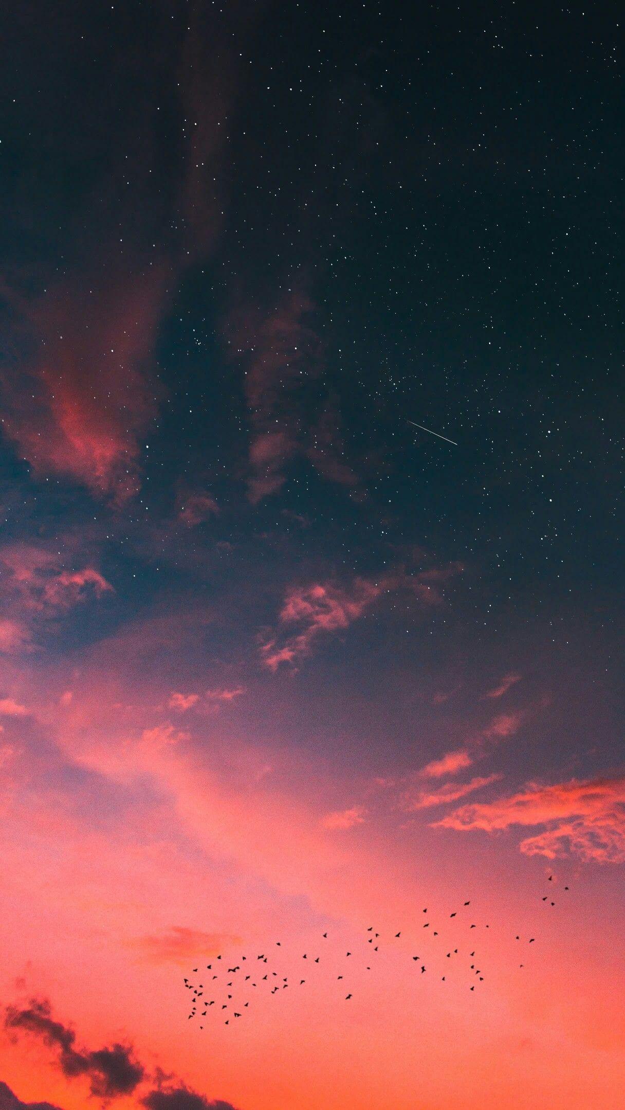 1216x2158 Nature Photography. Wallpaper paisagem, Tumblr wallpaper, Lindas paisagens
