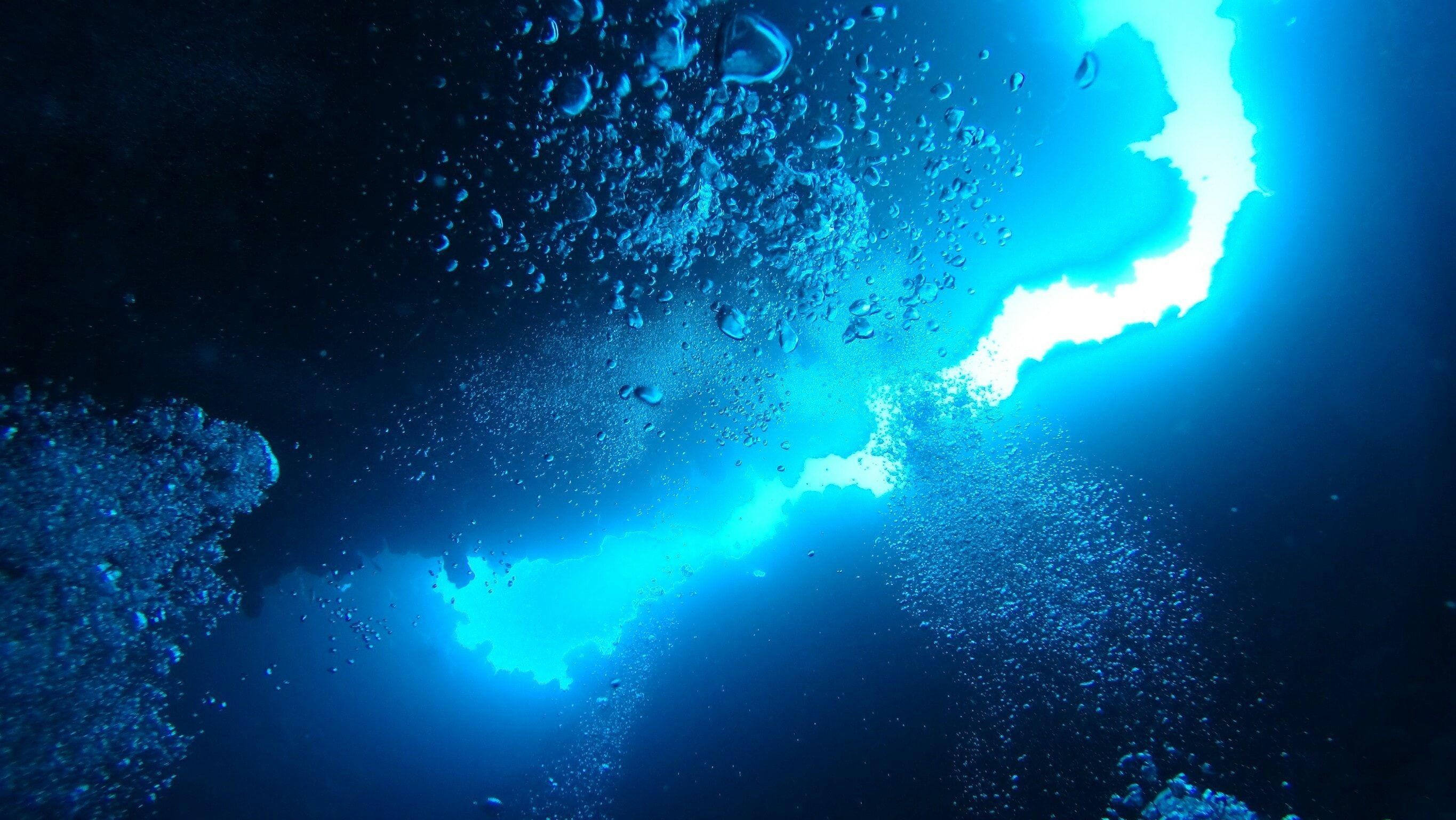 130936 Giant creature Deep Sea Scuba Diver 4K  Rare Gallery HD  Wallpapers