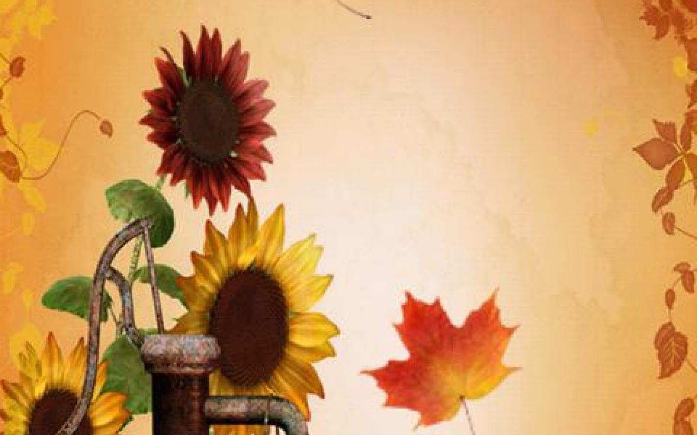 1368x855 Thanksgiving Wallpaper Phone impremedianet. Gardening: Flower