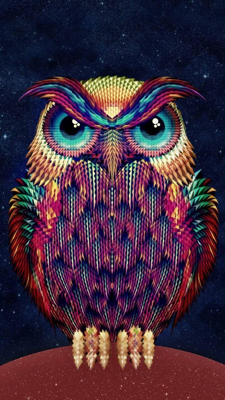 720x1280 Owl Phone Wallpaper. Owl wallpaper, Owl art, Stretched canvas prints