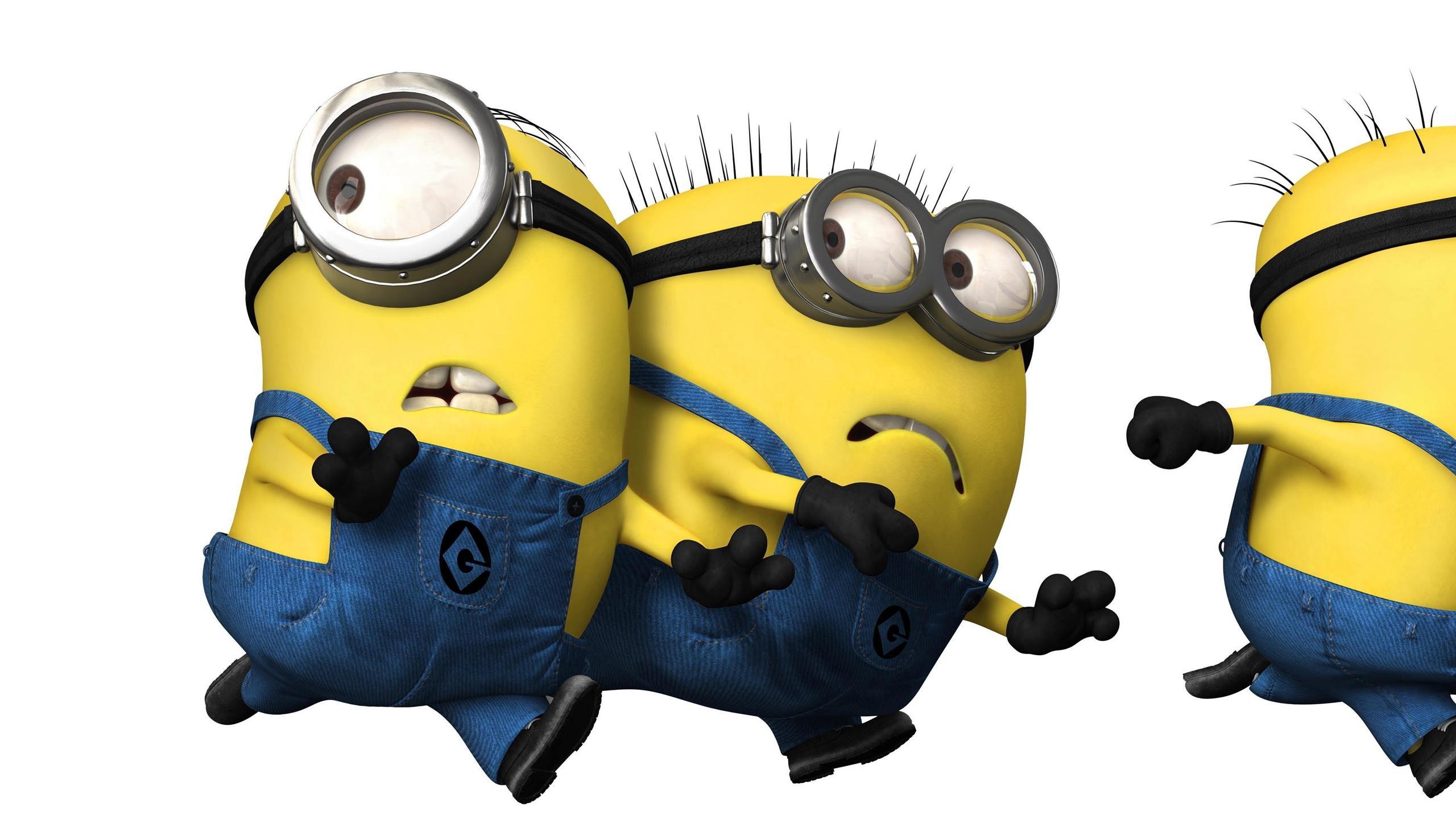 2560x1440 Despicable Me Wallpaper Minions