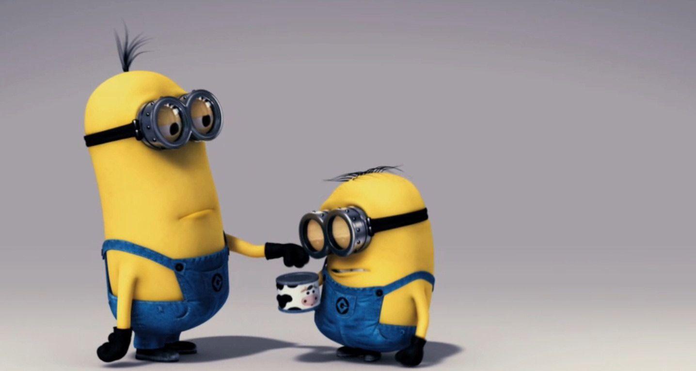 1436x766 Despicable Me Minion Wallpaper