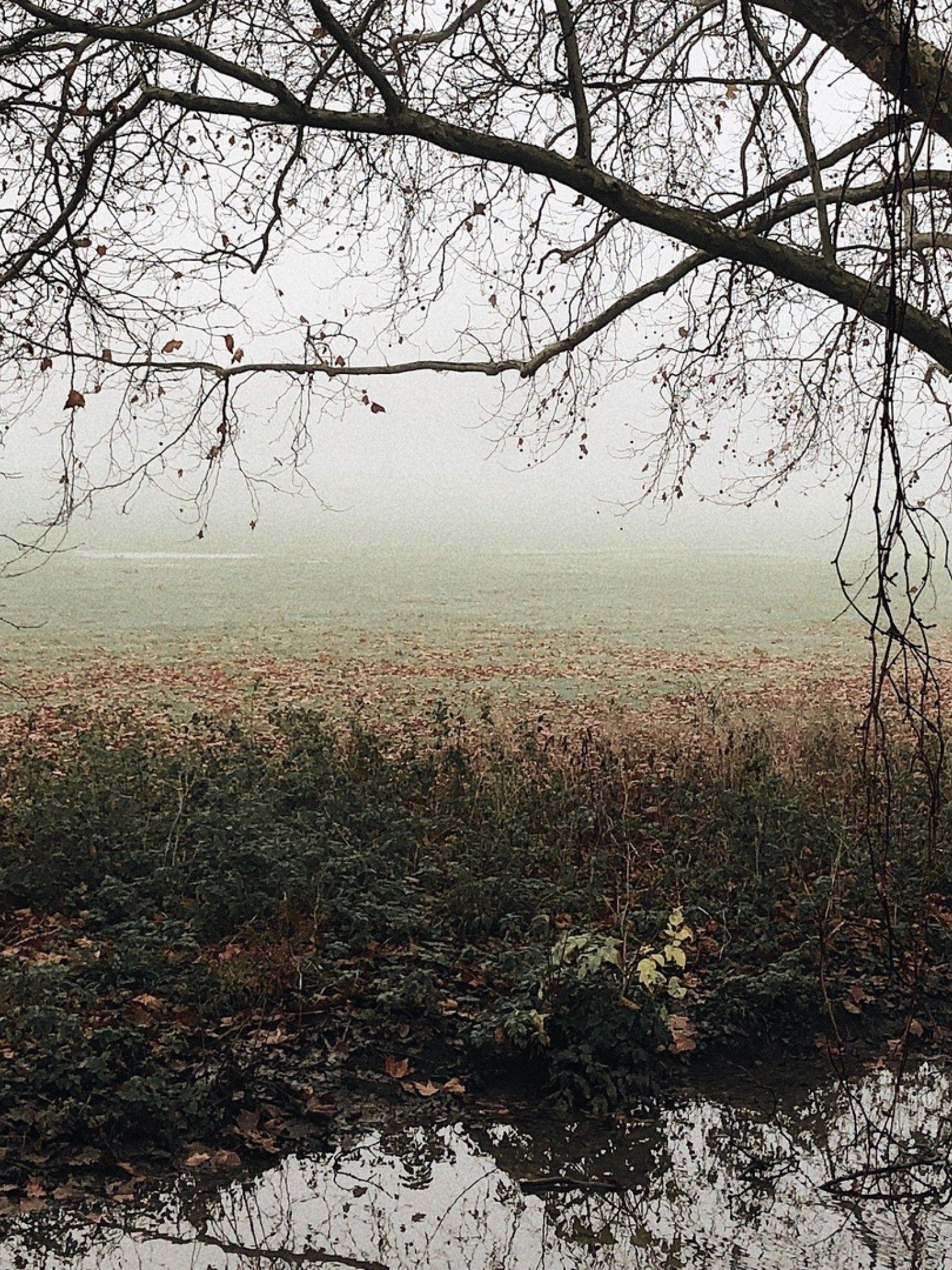 Melancholic Wallpapers Top Free Melancholic Backgrounds WallpaperAccess