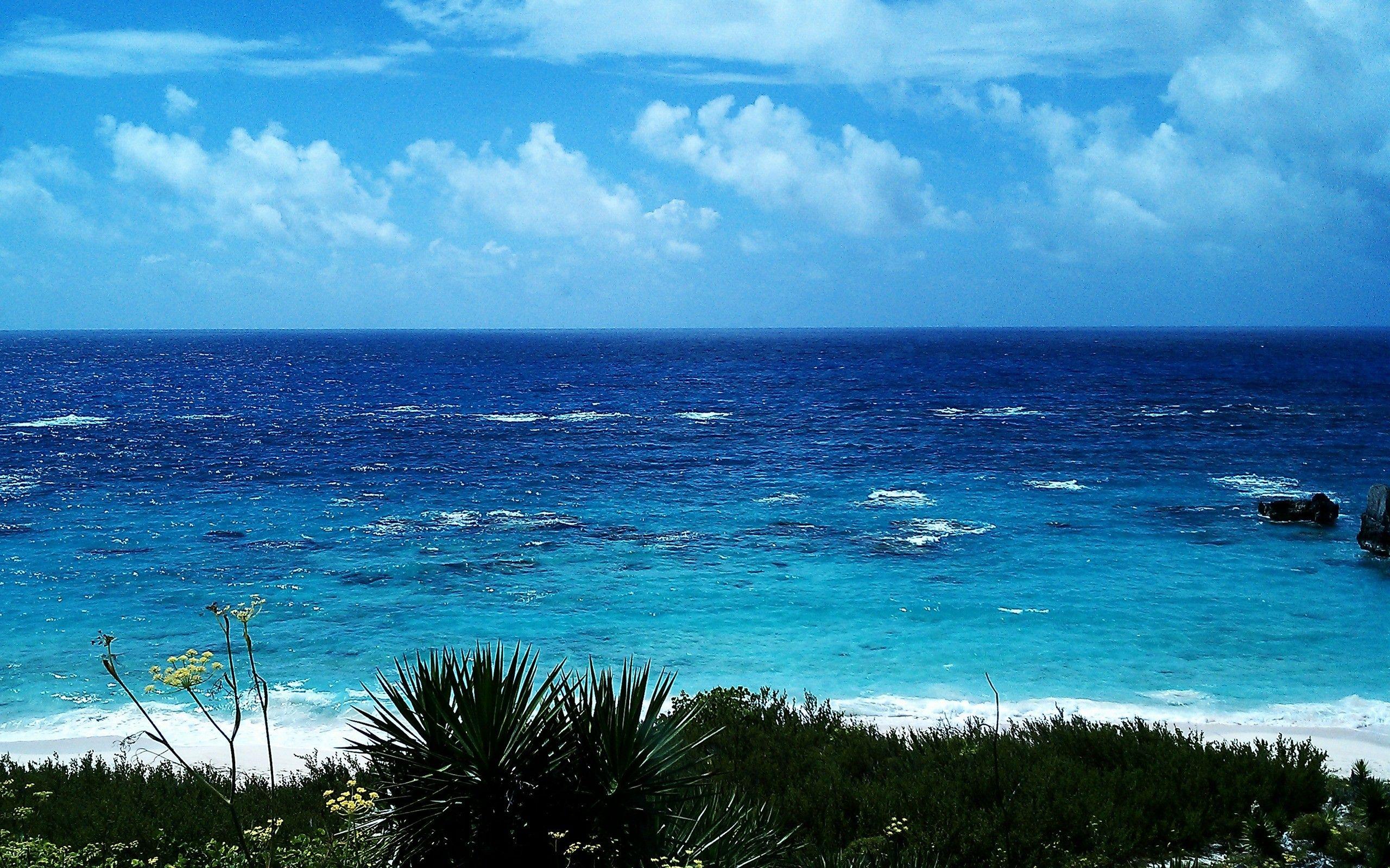 Bermuda Wallpapers - Top Free Bermuda Backgrounds - WallpaperAccess