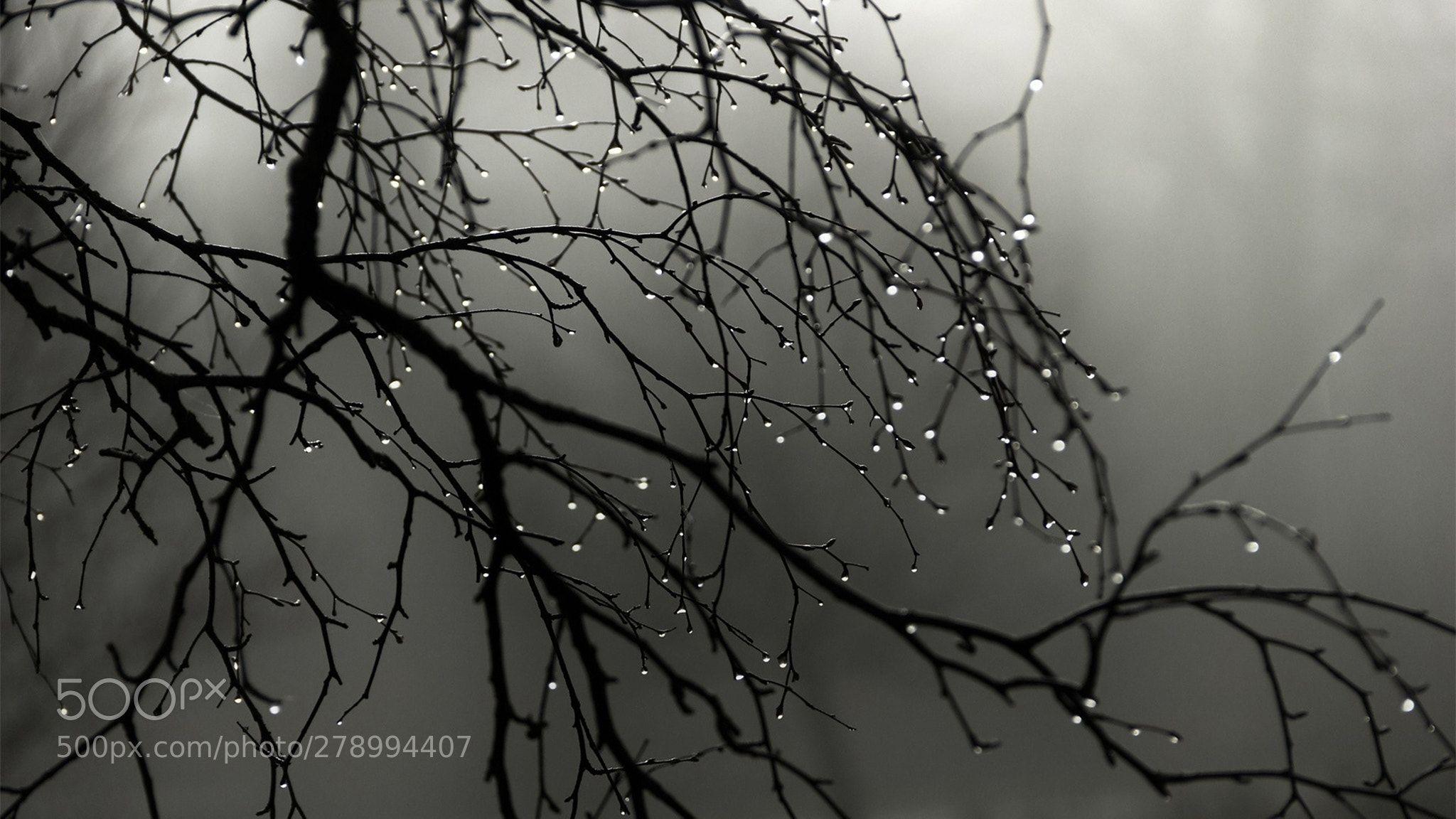 Melancholic Wallpapers Top Free Melancholic Backgrounds WallpaperAccess