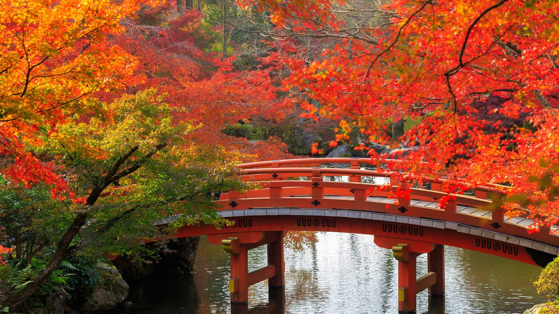 Japan Scenery Wallpapers Top Free Japan Scenery Backgrounds 