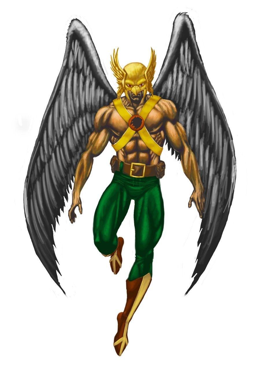900x1314 900x1314px Wide HDQ Hawkman Wallpaper 141.12 KB Desktop Background