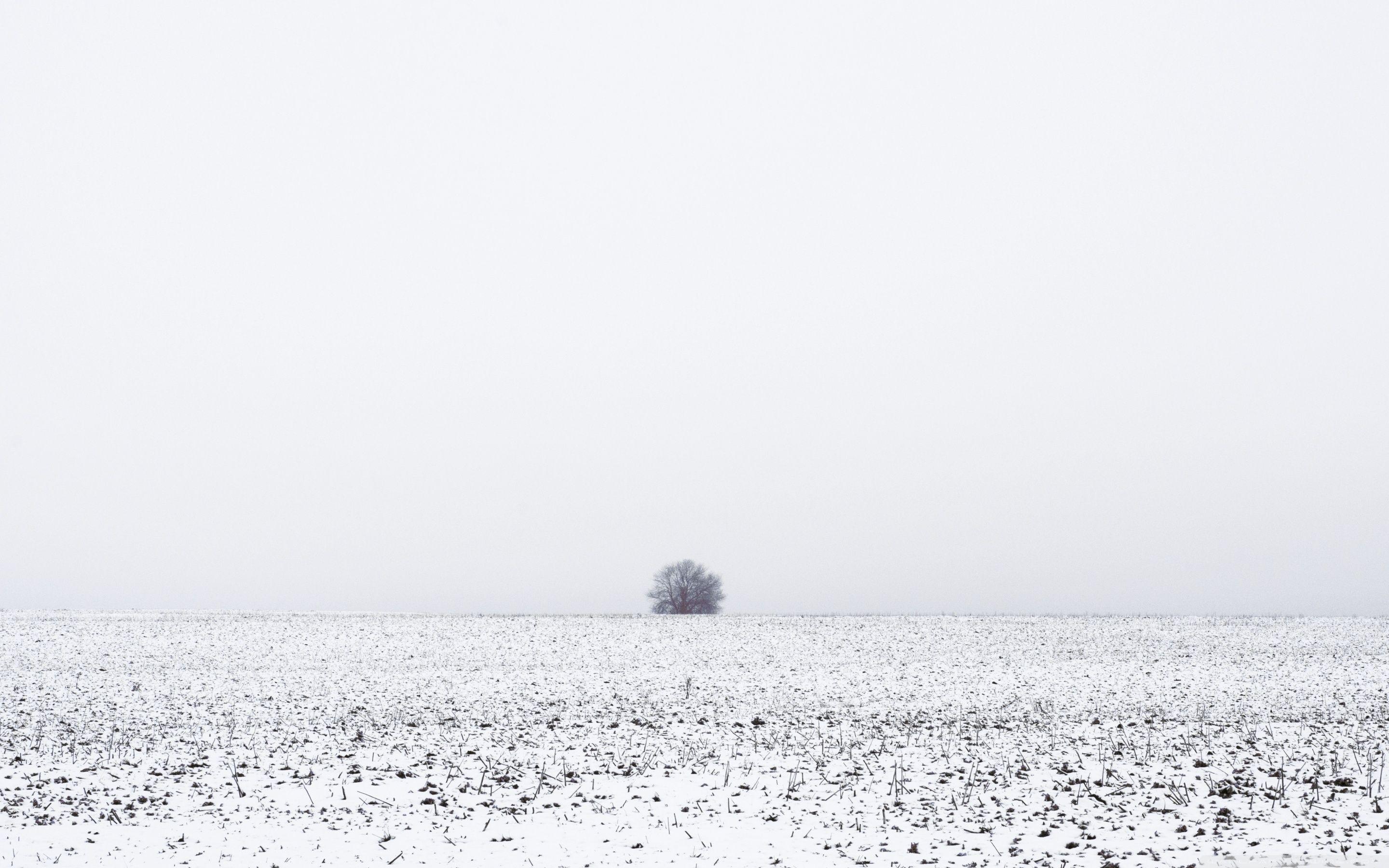 2880x1800 Download Winter Melancholy UltraHD Wallpaper
