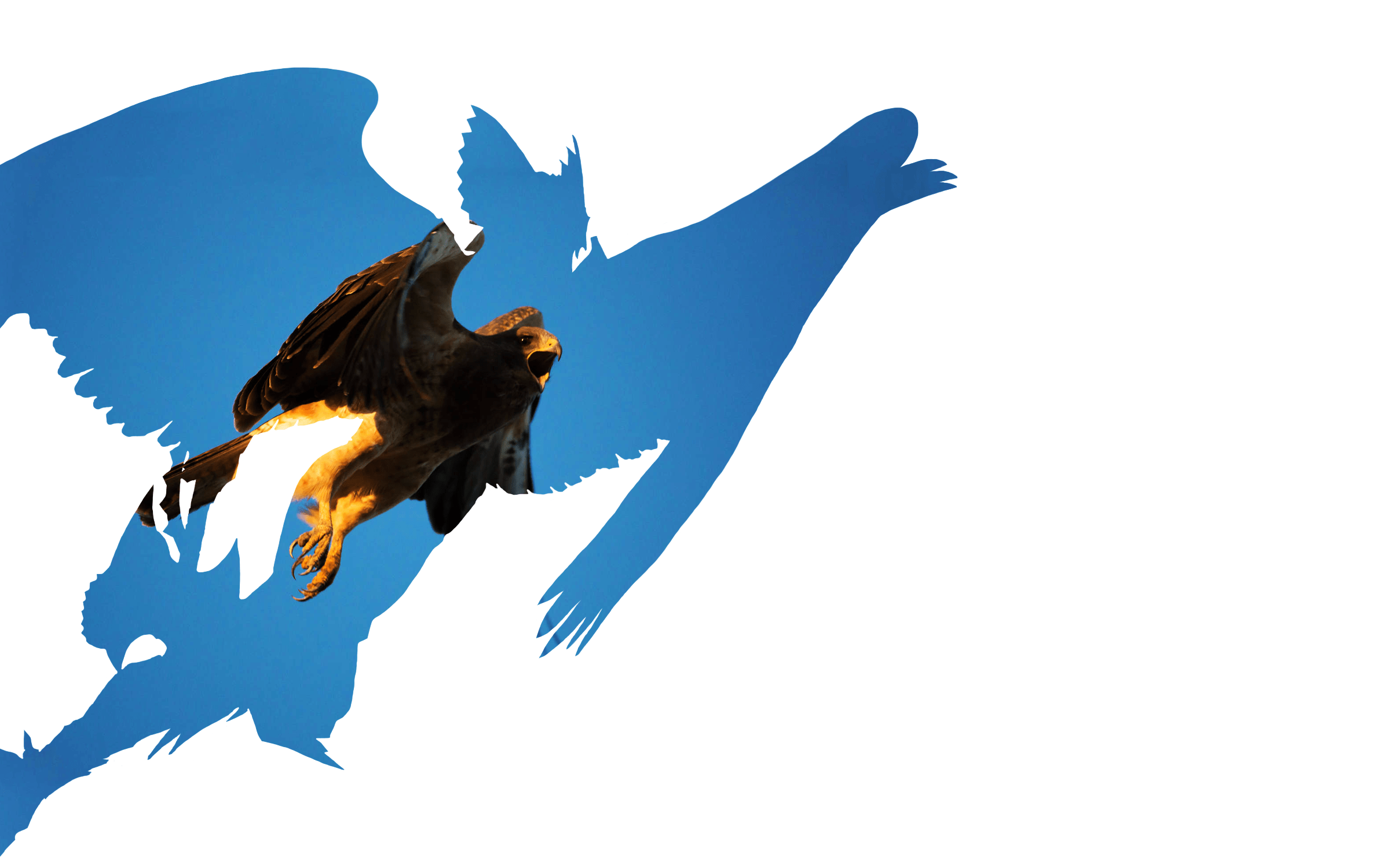 2400x1500 original Silhouette Wallpaper part 2