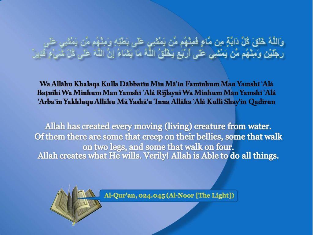 1024x768 Al Quran, 024.045 (Al Noor[The Light]). Free Desktop Wallpaper With Quranic Verses