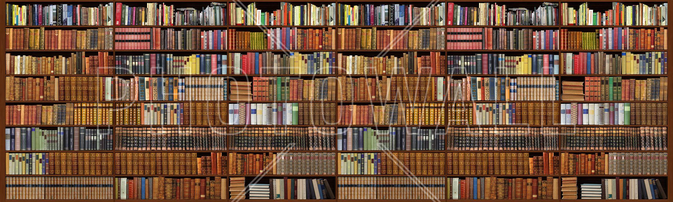 2329x699 Bookshelf