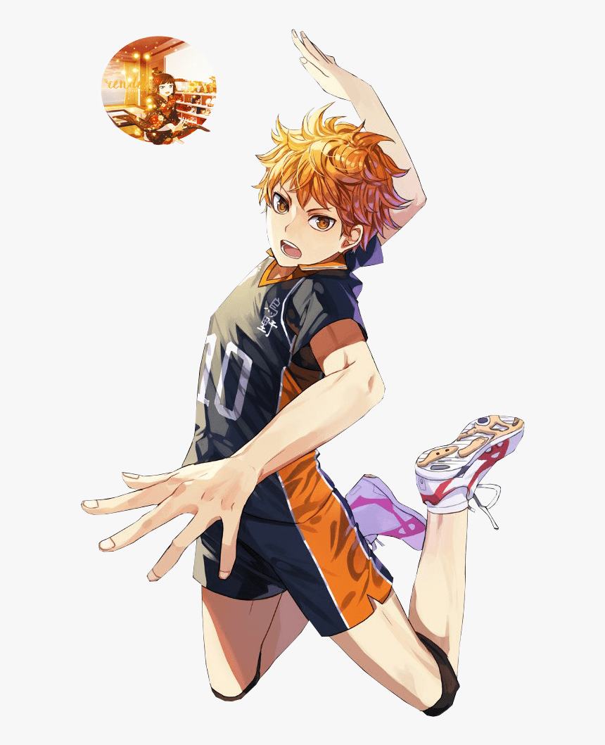 860x1059 Image Result For Hinata Shouyou Profile Iwaizumi Hajime, Shoyo, HD Png Download