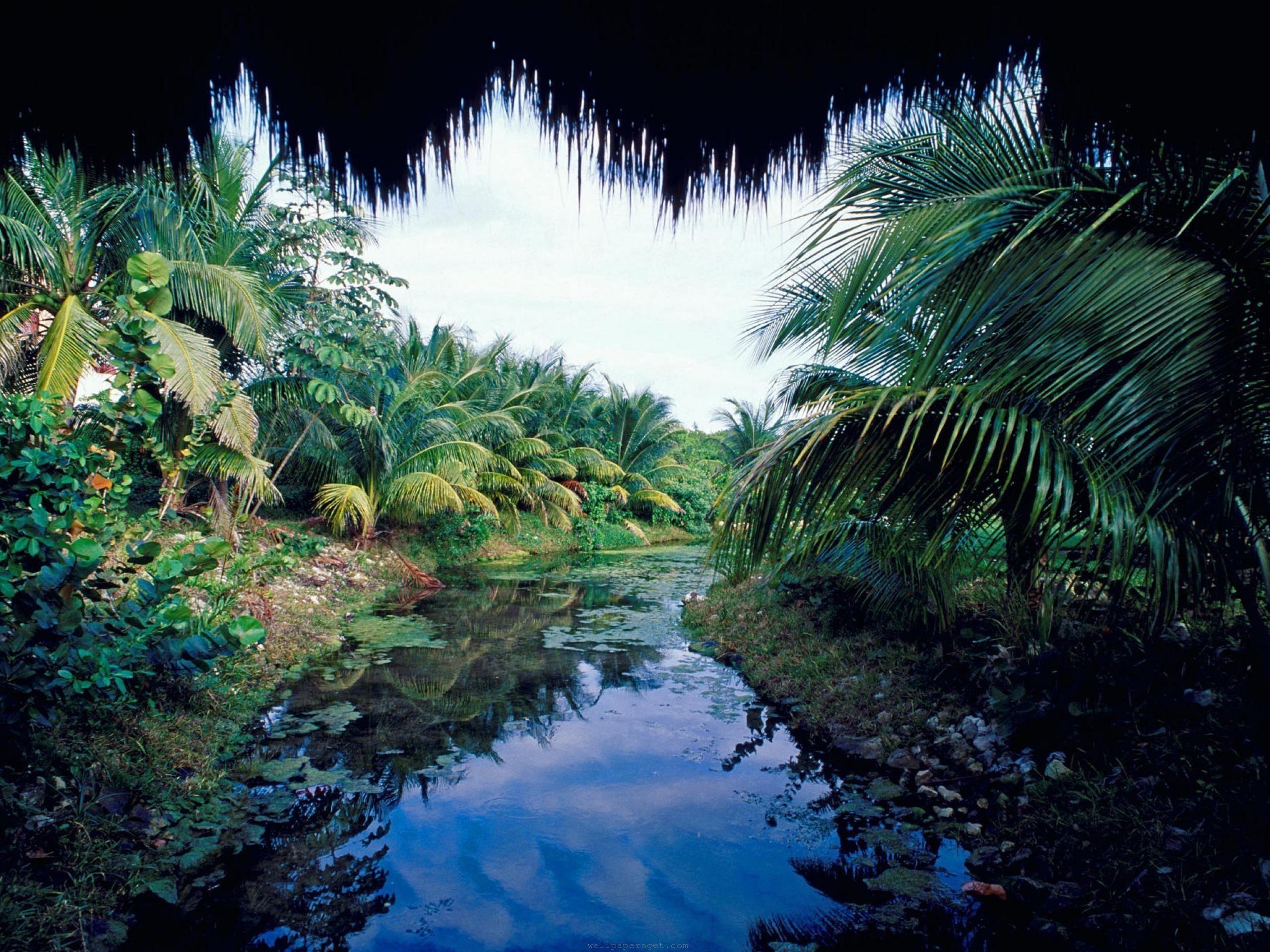 Yucatán Wallpapers - Top Free Yucatán Backgrounds - WallpaperAccess