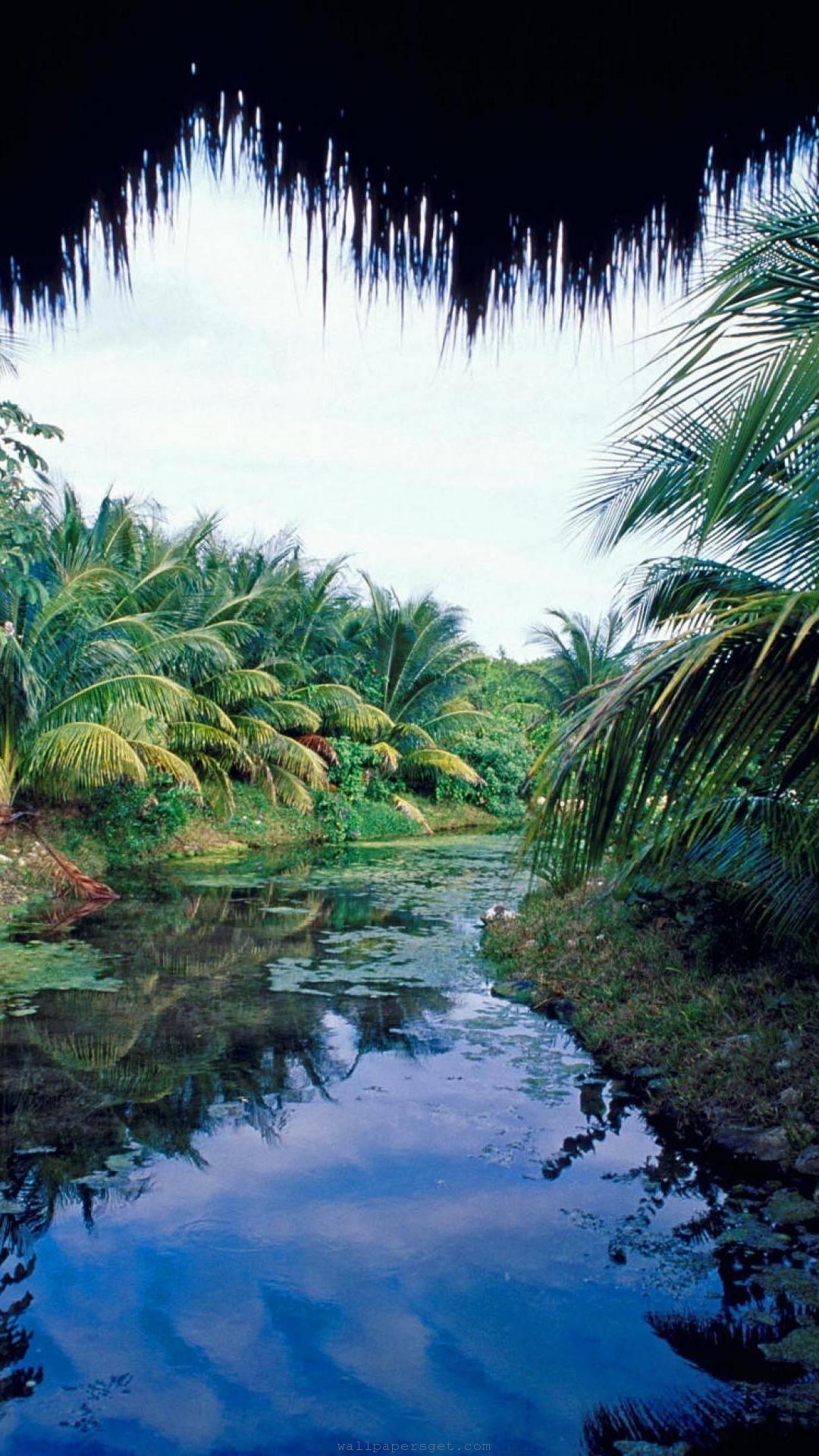 1080x1920 Yucatán Peninsula Wallpaper