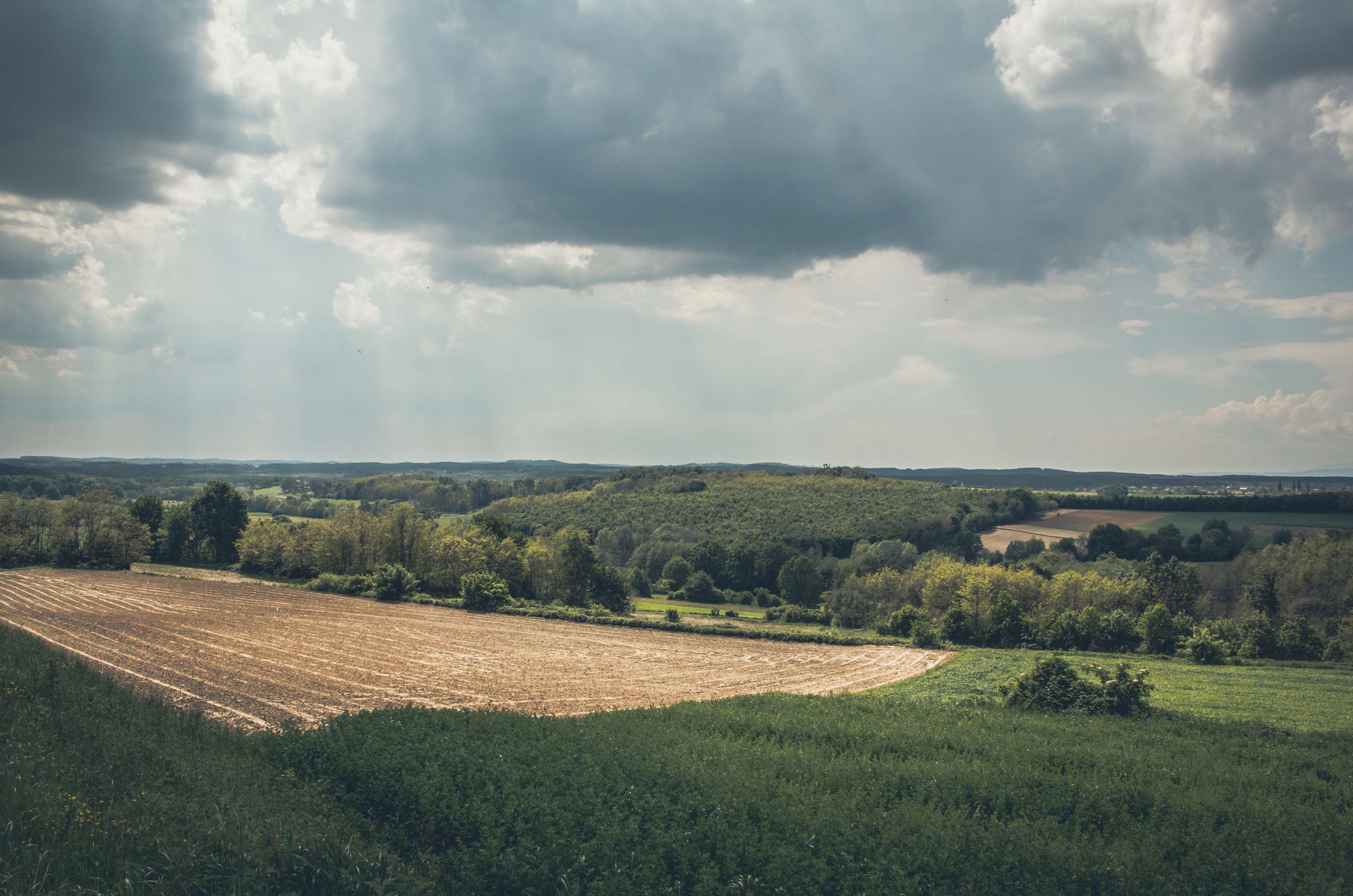 3840x2544 blue skies, blue sky, clouds, dark clouds, dirt, earth, forest, garden, mud, nature, nature photography, nature wallpaper, panorama, rain, rainy, sky, wide, wide angle, wideangle, woods 4k wallpaper. Mocah.org HD