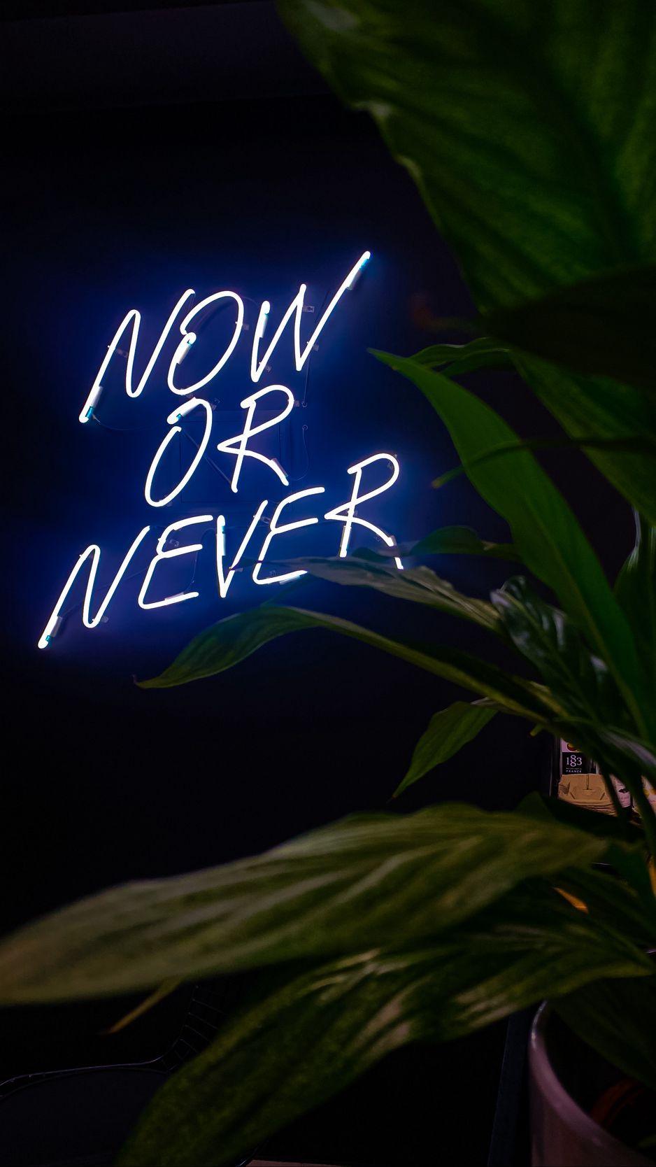 Now Or Never Wallpapers - Top Free Now Or Never Backgrounds ...