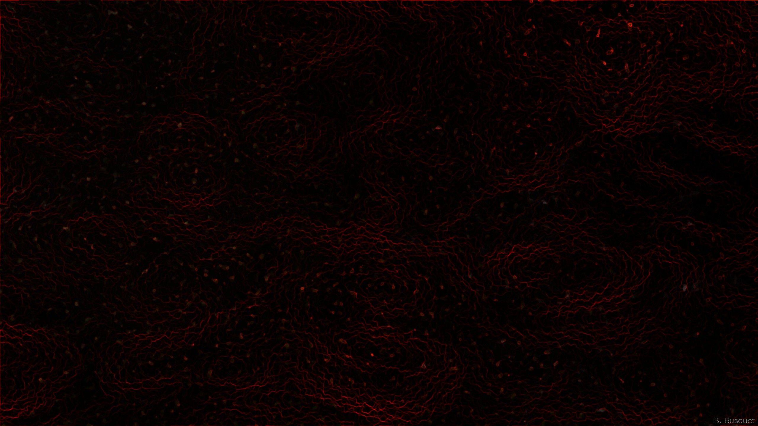 2560x1440 Black And White And Red Abstract Wallpaper