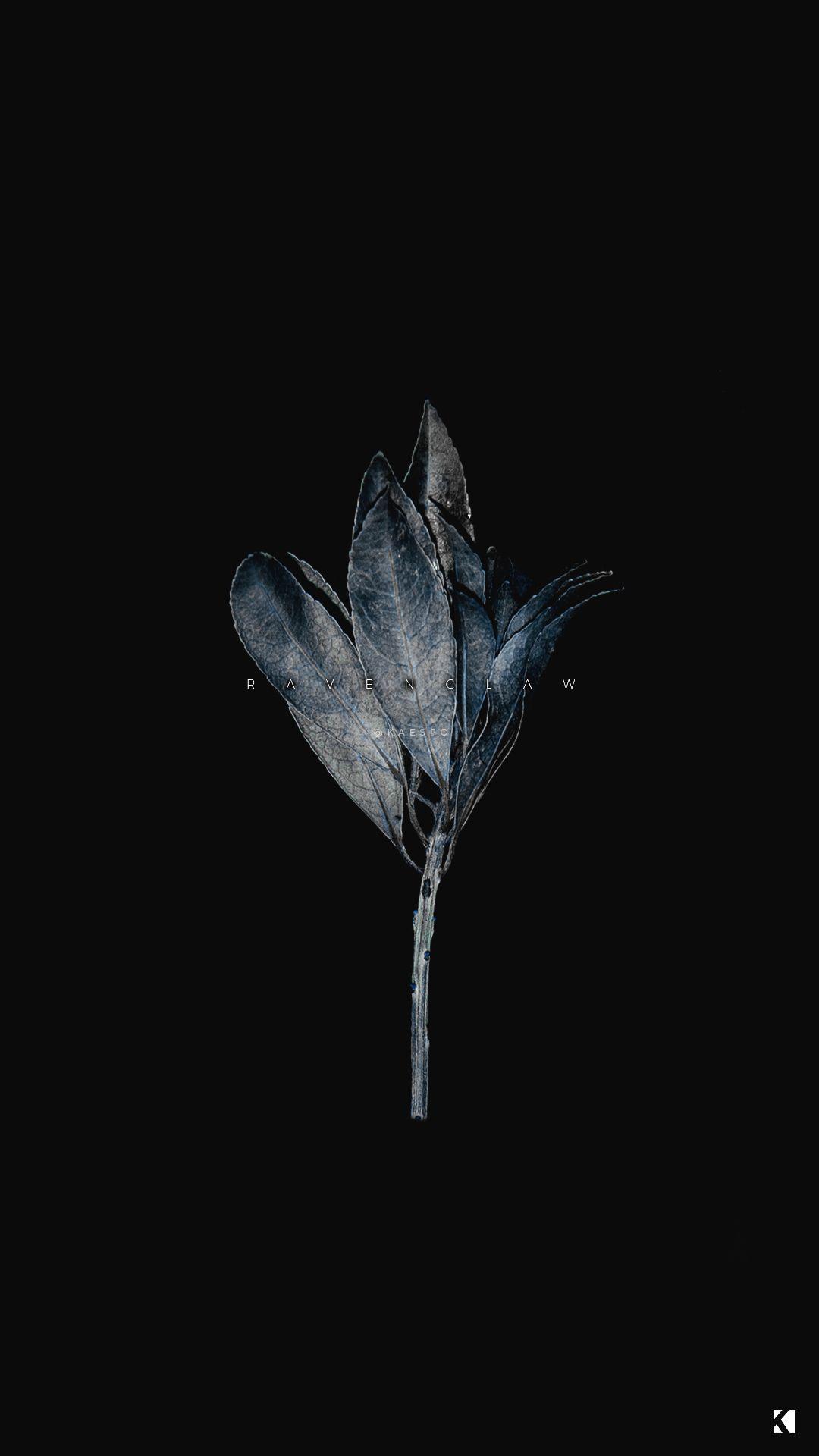 1080x1920 Wallpaper No. 419 Houses + Dark Dead Botanicals