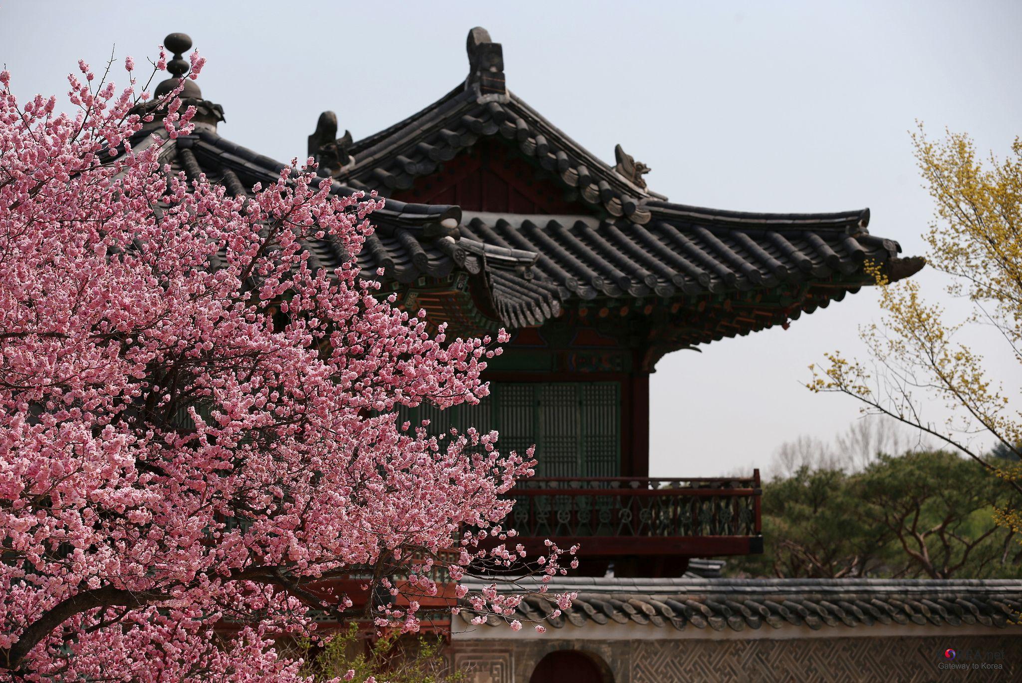 2048x1368 Stunningly Beautiful Places To Visit In South Korea