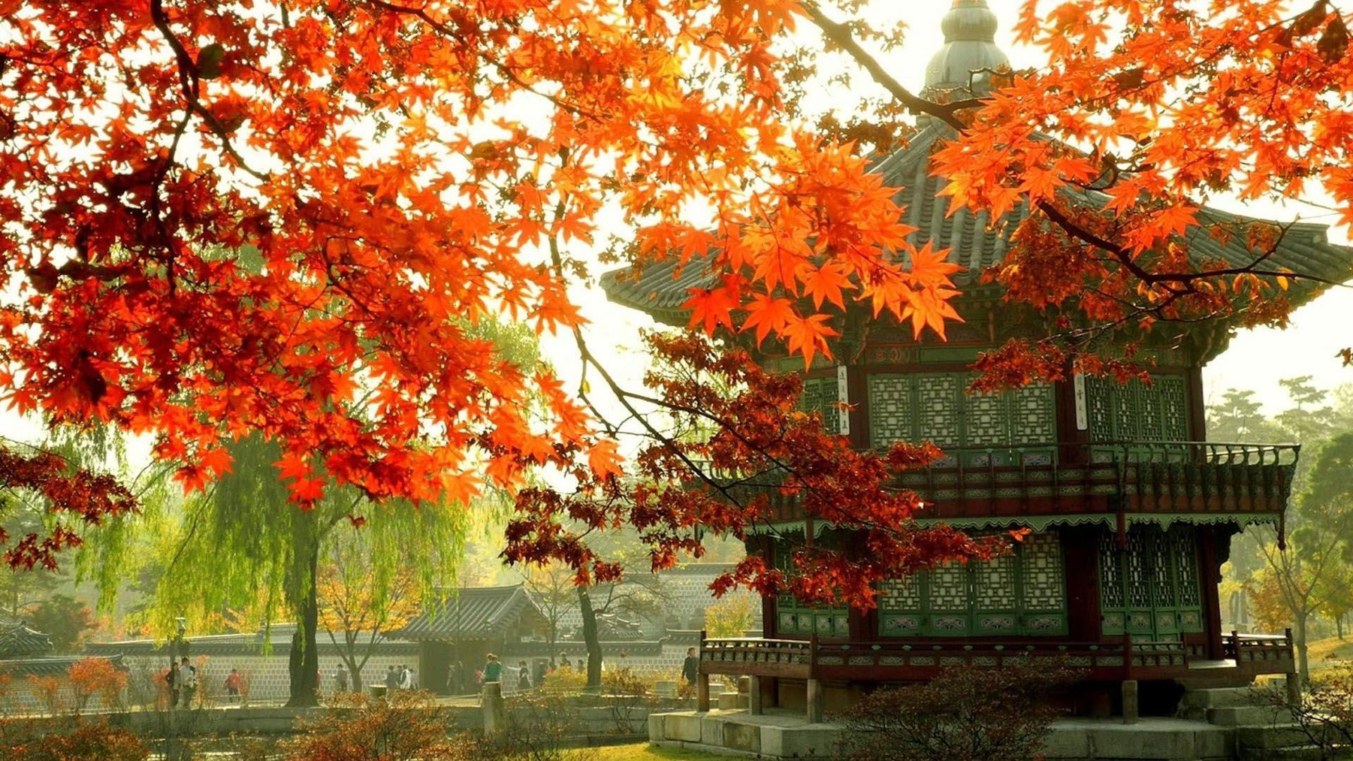 1920x1080 South Korea Wallpaper