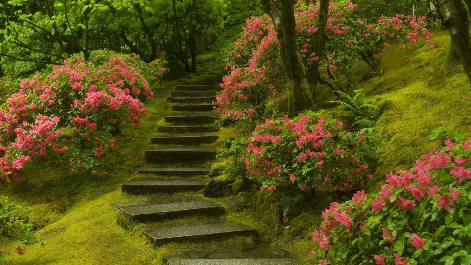 1600x900 scenery picture garden, Beautiful gardens, Garden picture