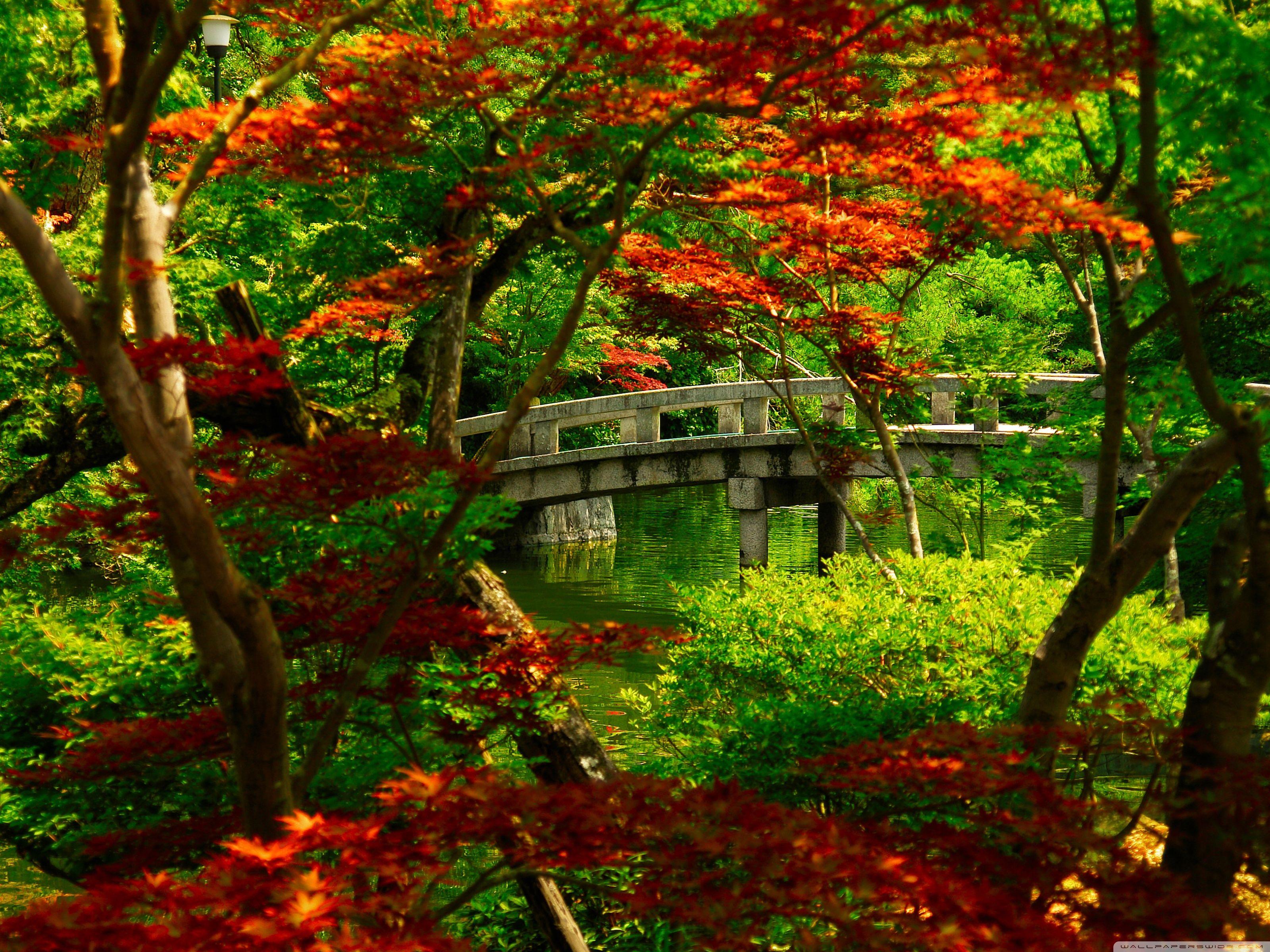 3200x2400 Japanese Garden (Kyoto) Ultra HD Desktop Background Wallpaper for 4K UHD TV : Widescreen & UltraWide Desktop & Laptop : Multi Display, Dual Monitor : Tablet