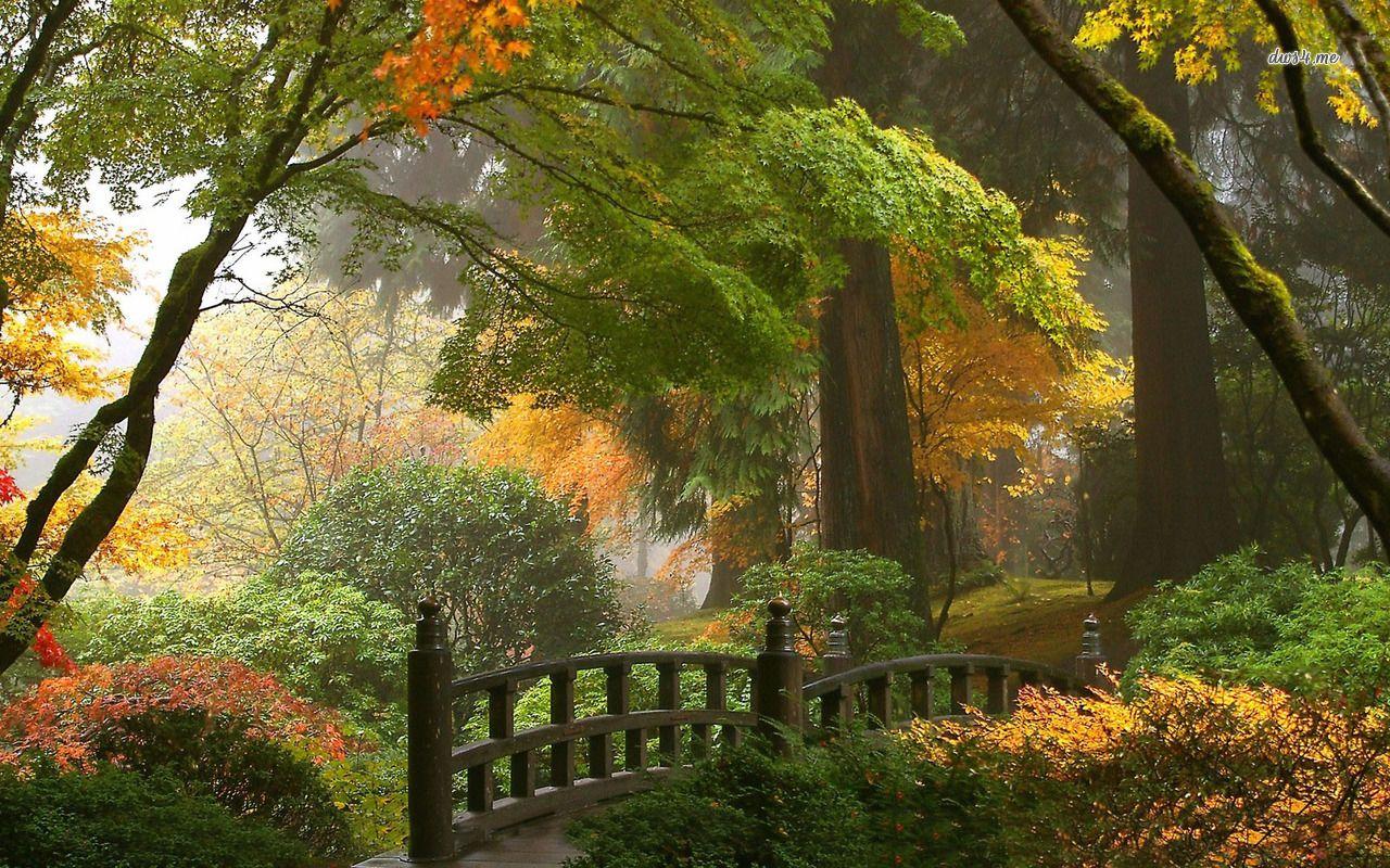 1280x800 Free download Japanese garden wallpaper Nature wallpaper 12484 [1280x800] for your Desktop, Mobile & Tablet. Explore Asian Nature Desktop Wallpaper. Korean Wallpaper for Desktop, Asian Girls Wallpaper HD Desktop, Free Chinese Wallpaper