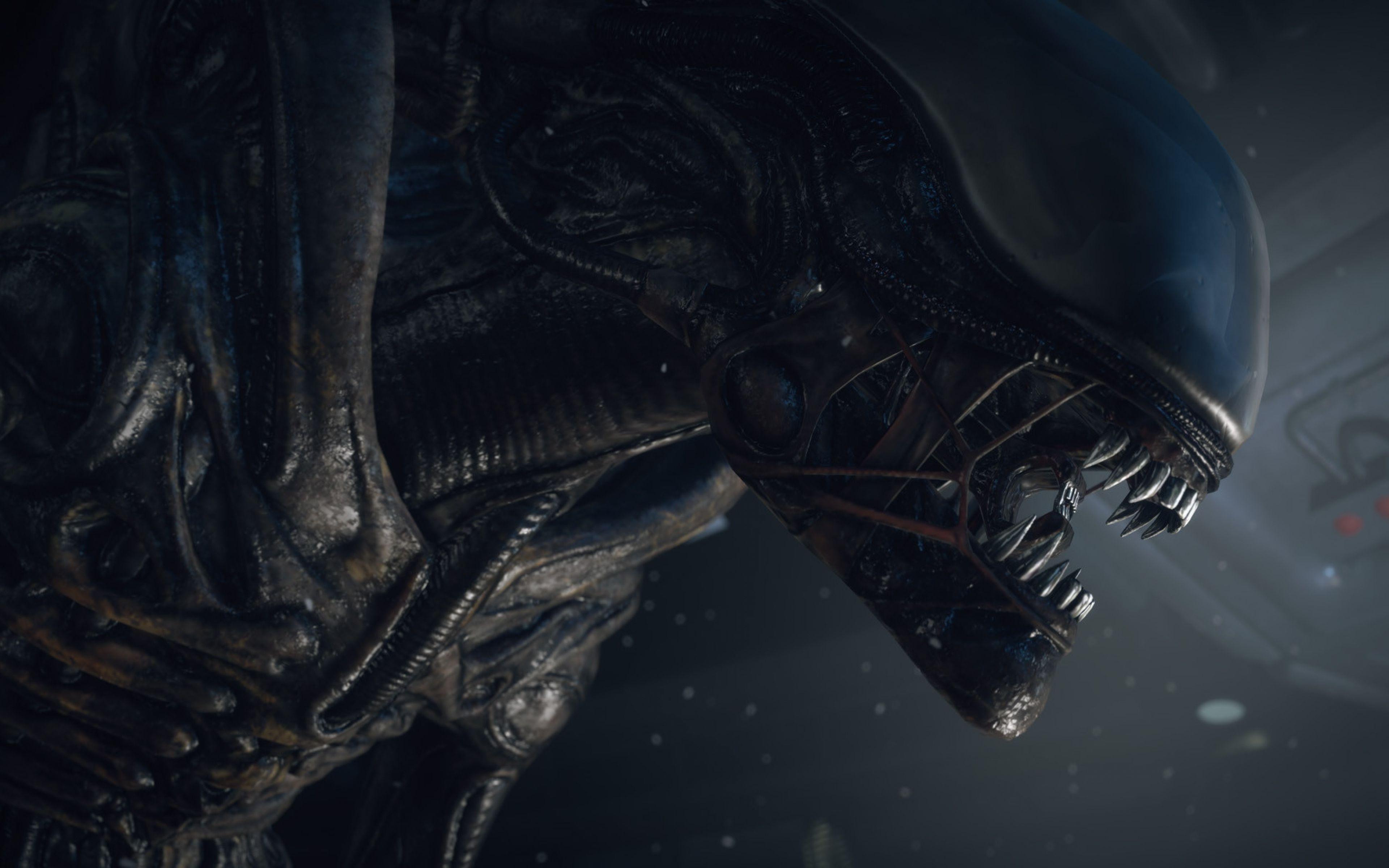 3840x2400 HD Alien Image, Wallpaper for Desktop, B.SCB Wallpaper