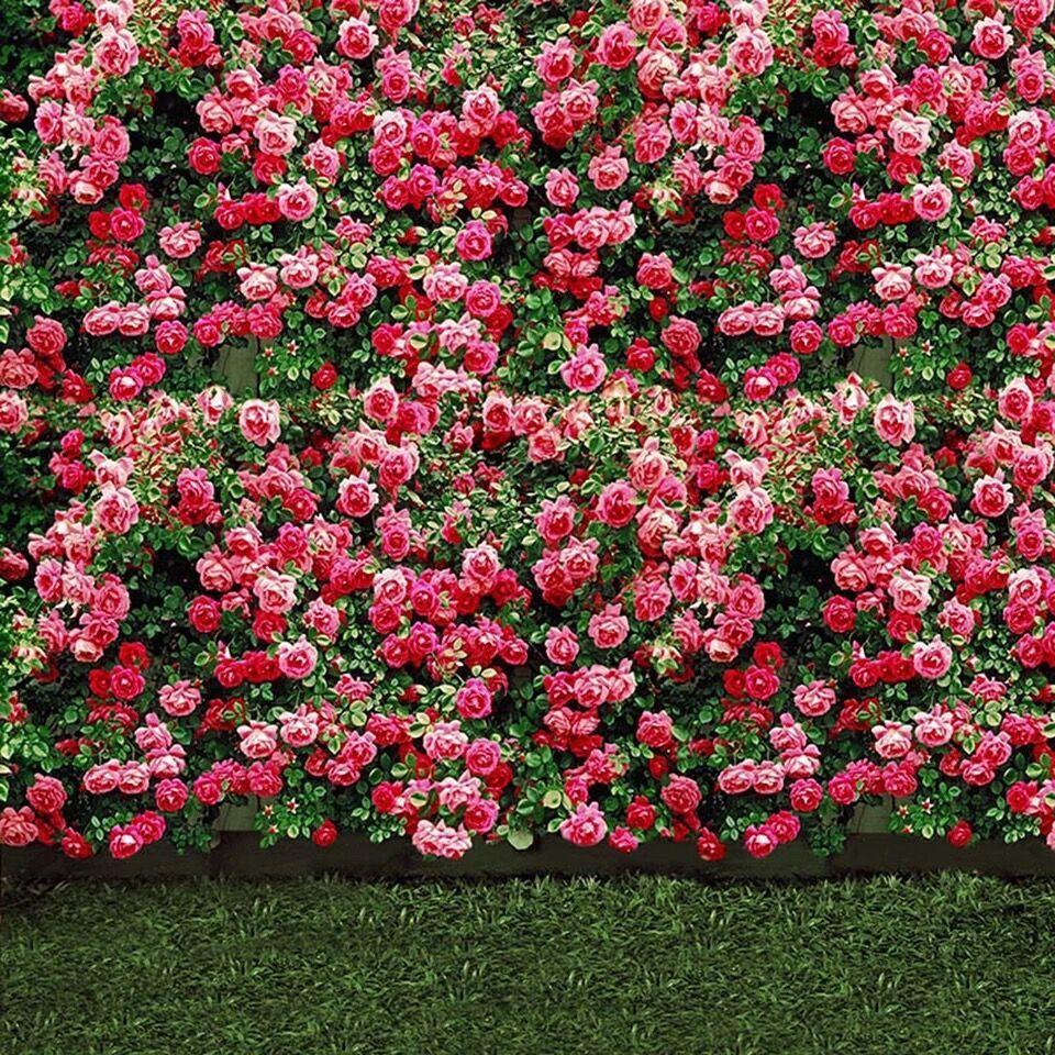 960x960 Discount Flower Garden Wallpaper. Flower Garden Wallpaper 2020 on Sale at