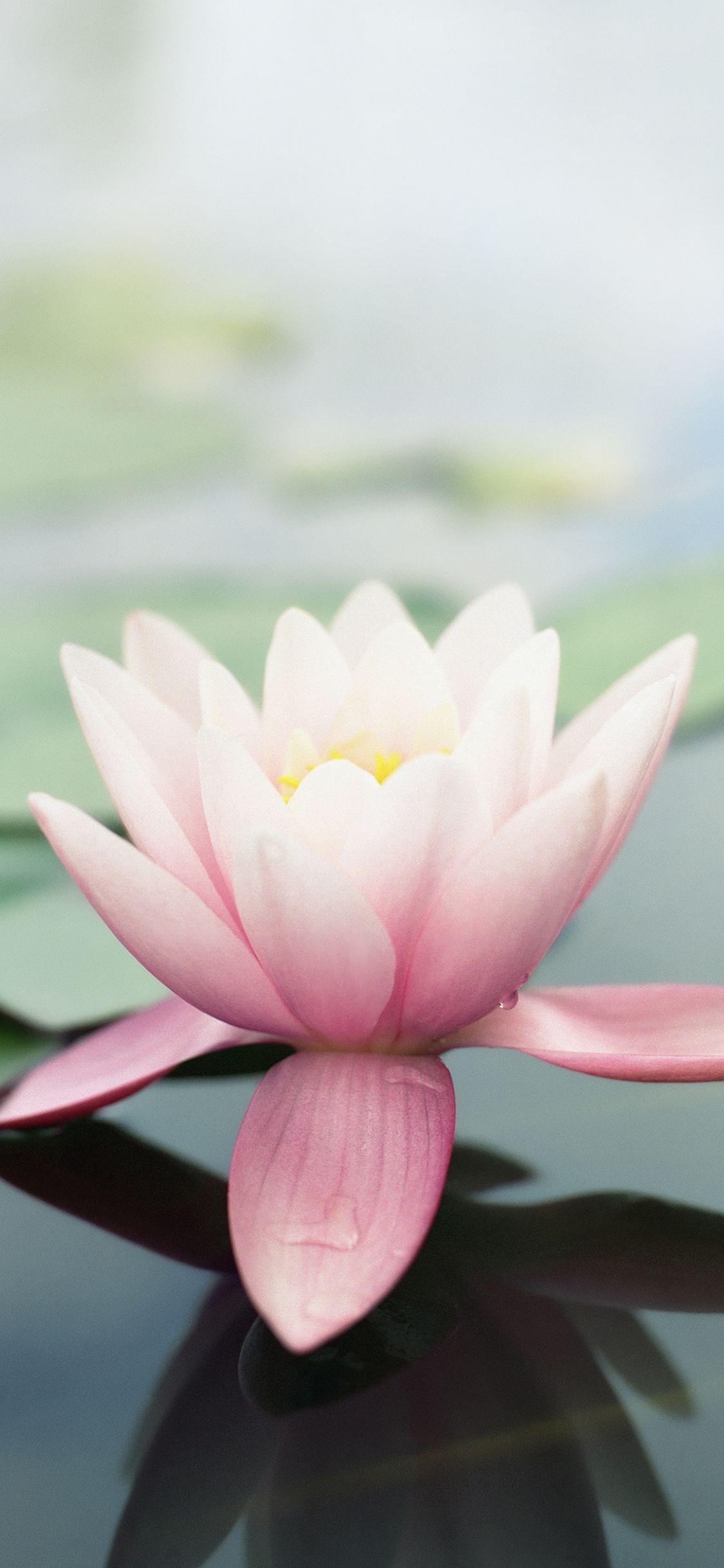 1125x2436 Original Apple wallpaper optimized for your iPhone