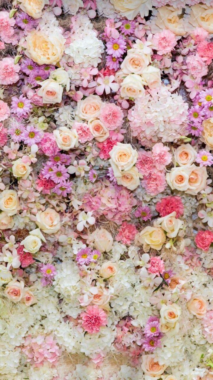 736x1309 flower wall. Wallpaper nature flowers, Flower iphone wallpaper, Flower background wallpaper