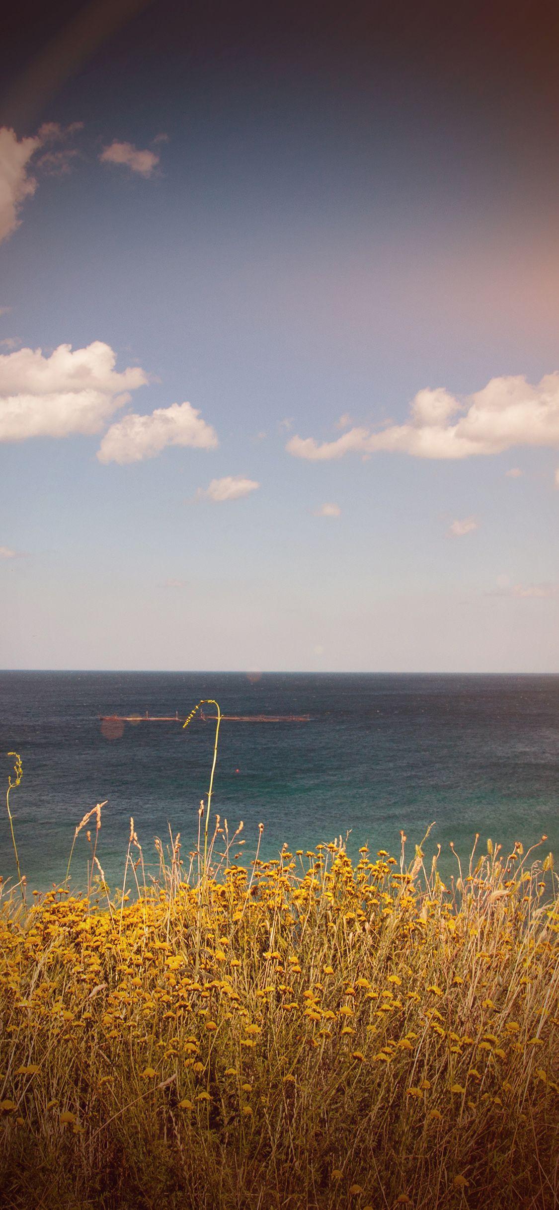 1125x2436 iPhone X wallpaper. sea cloud flower nature old nostalgia vignette