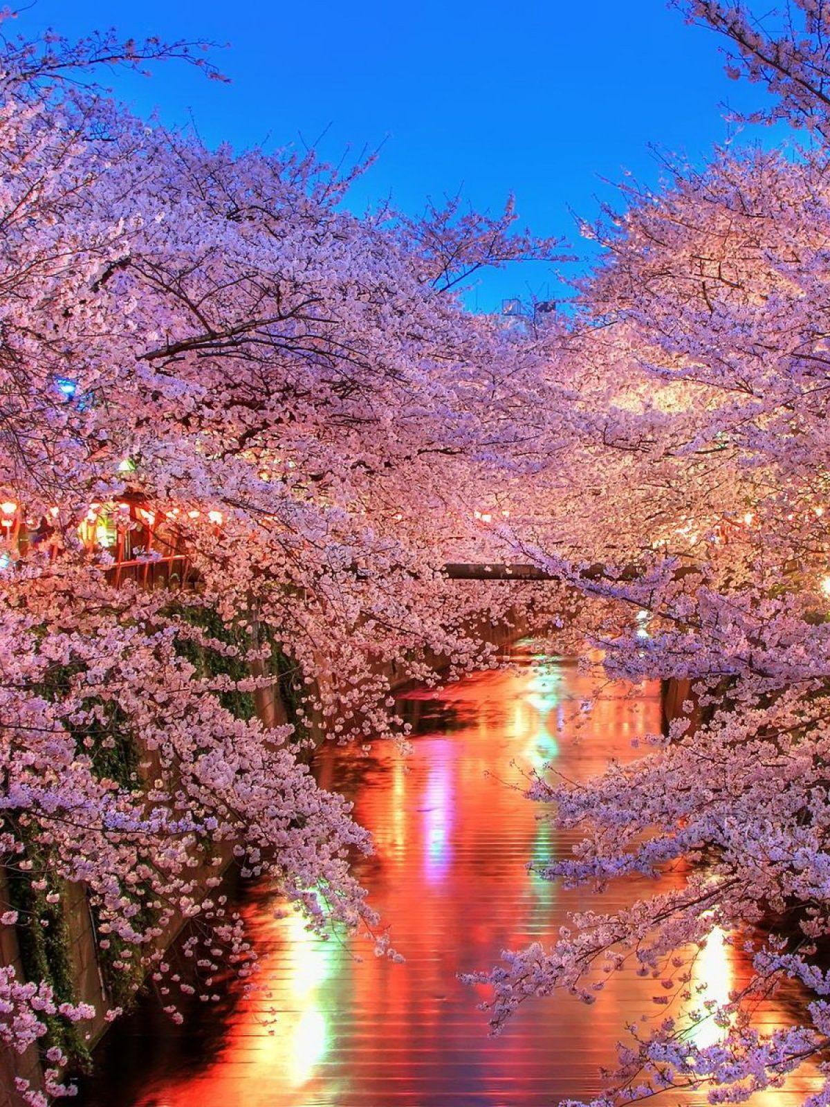1200x1600 Scenic Mobile Wallpaper