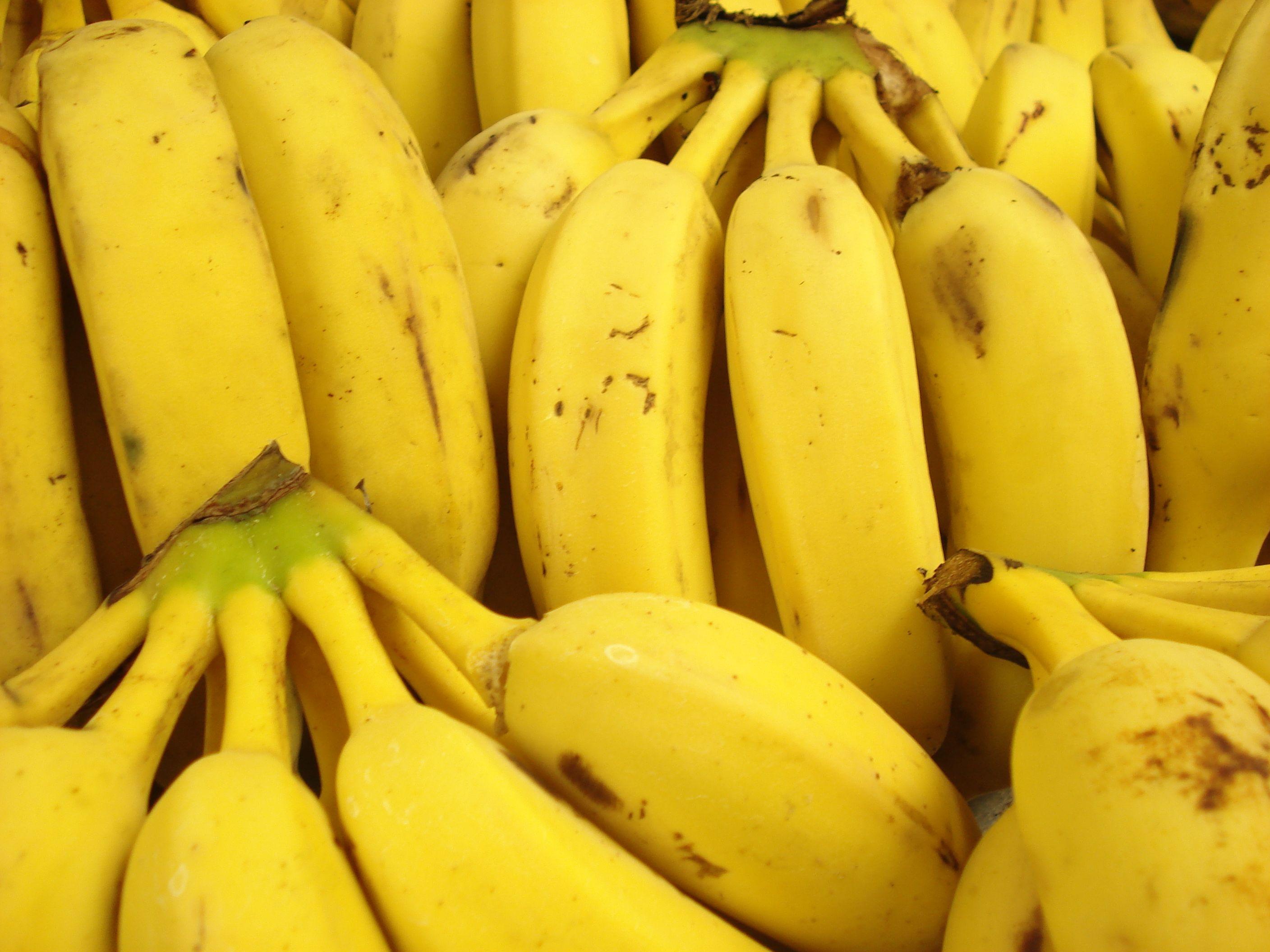 2816x2112 Banana Wallpaper. Vintage Banana Wallpaper, Banana Wallpaper and Banana Leaves Wallpaper