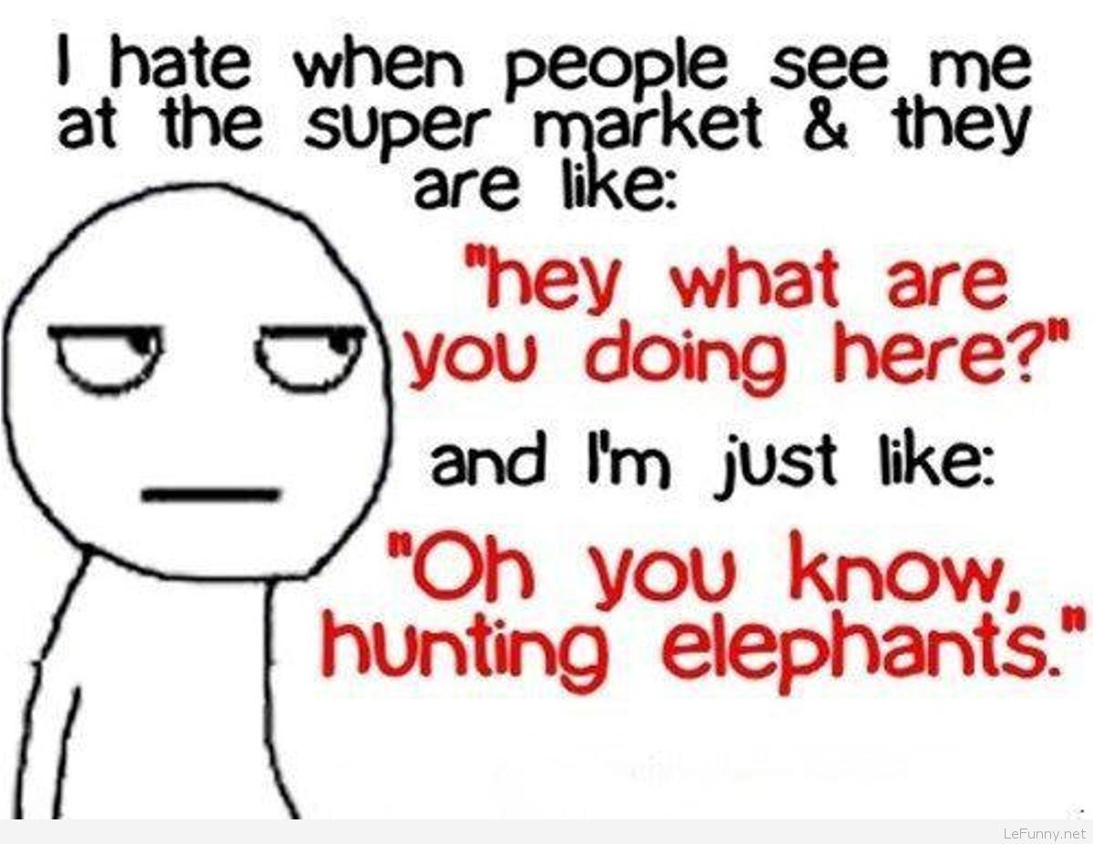 1200x927 Funny Quotes Cute Wallpaper Sayings