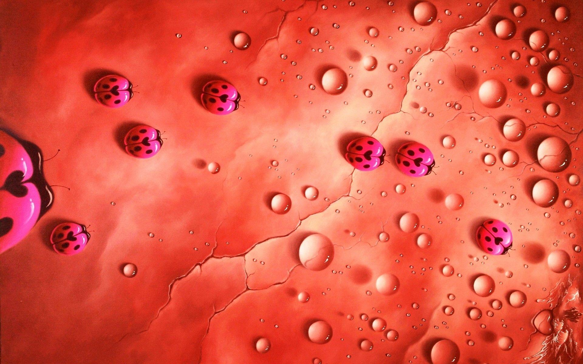 1920x1200 Ladybugs Cute Red Pink Wallpaper Ladybugs, Download Wallpaper