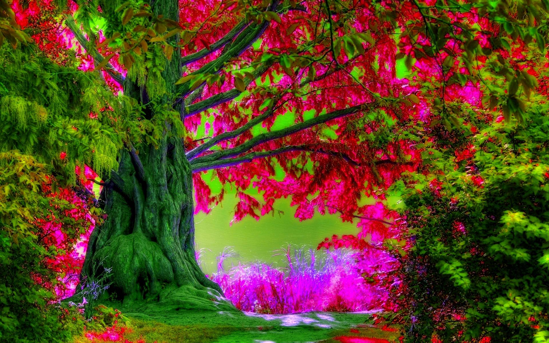 1920x1200 Spring Desktop Wallpaper And Background, 0.49 Mb