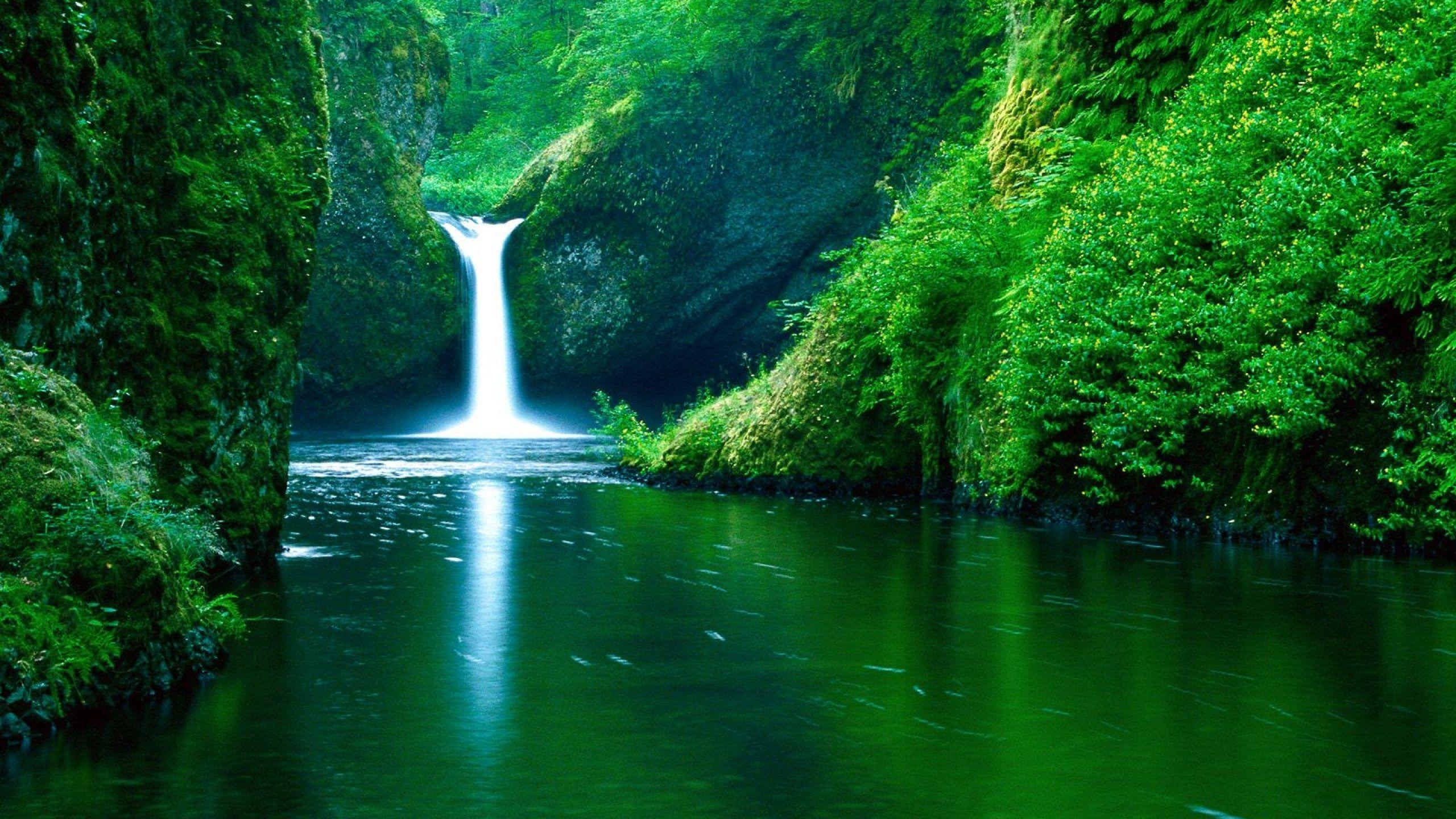 2560x1440 Green Forest Waterfall Desktop Background. Computer Background Image