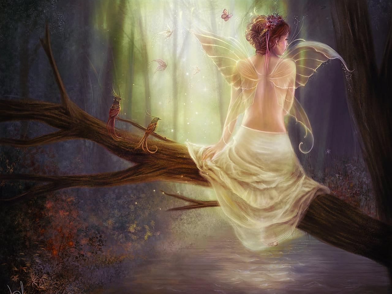 Fairy Computer Wallpapers - Top Free Fairy Computer Backgrounds ...